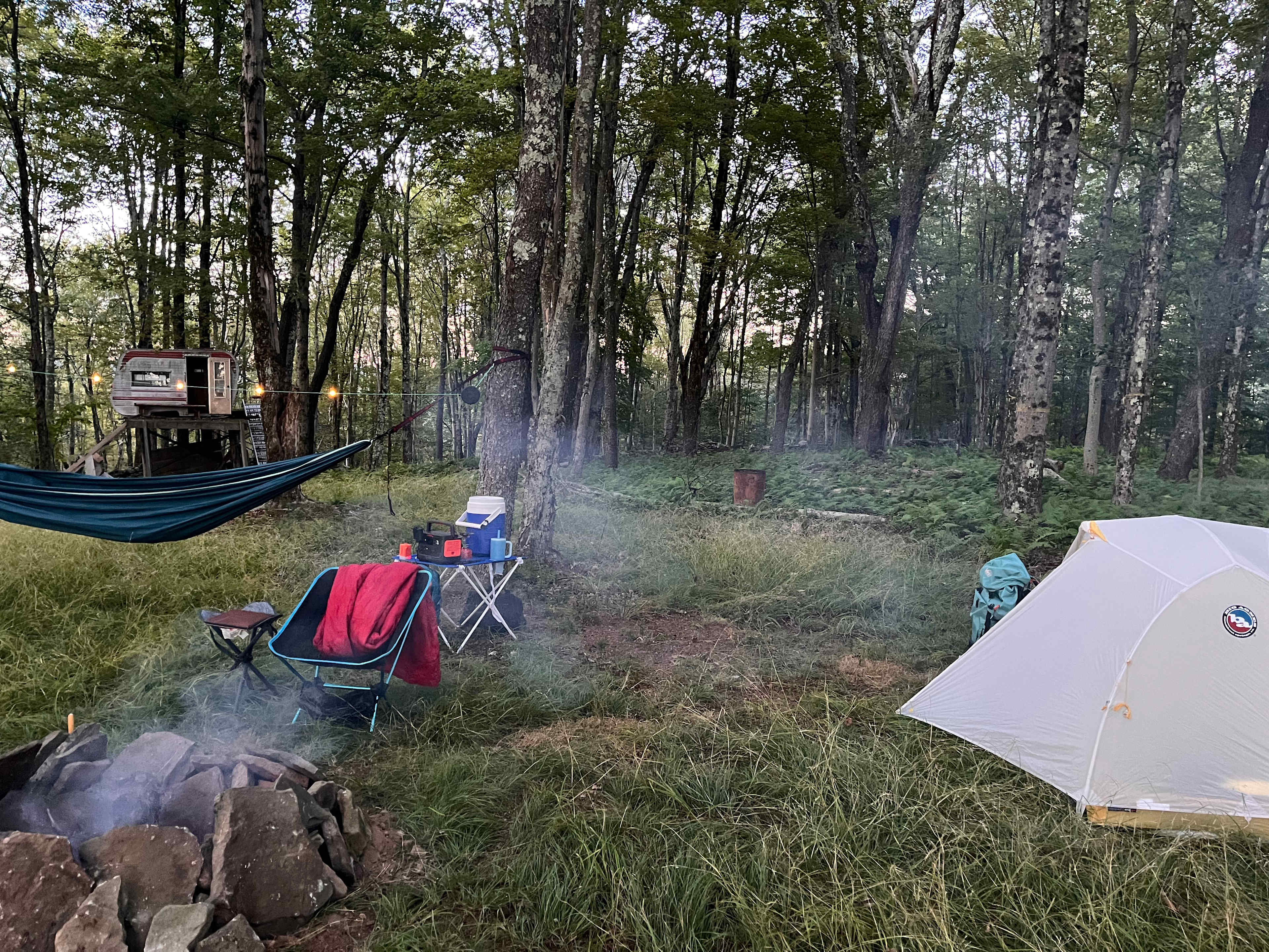Picture of the site
