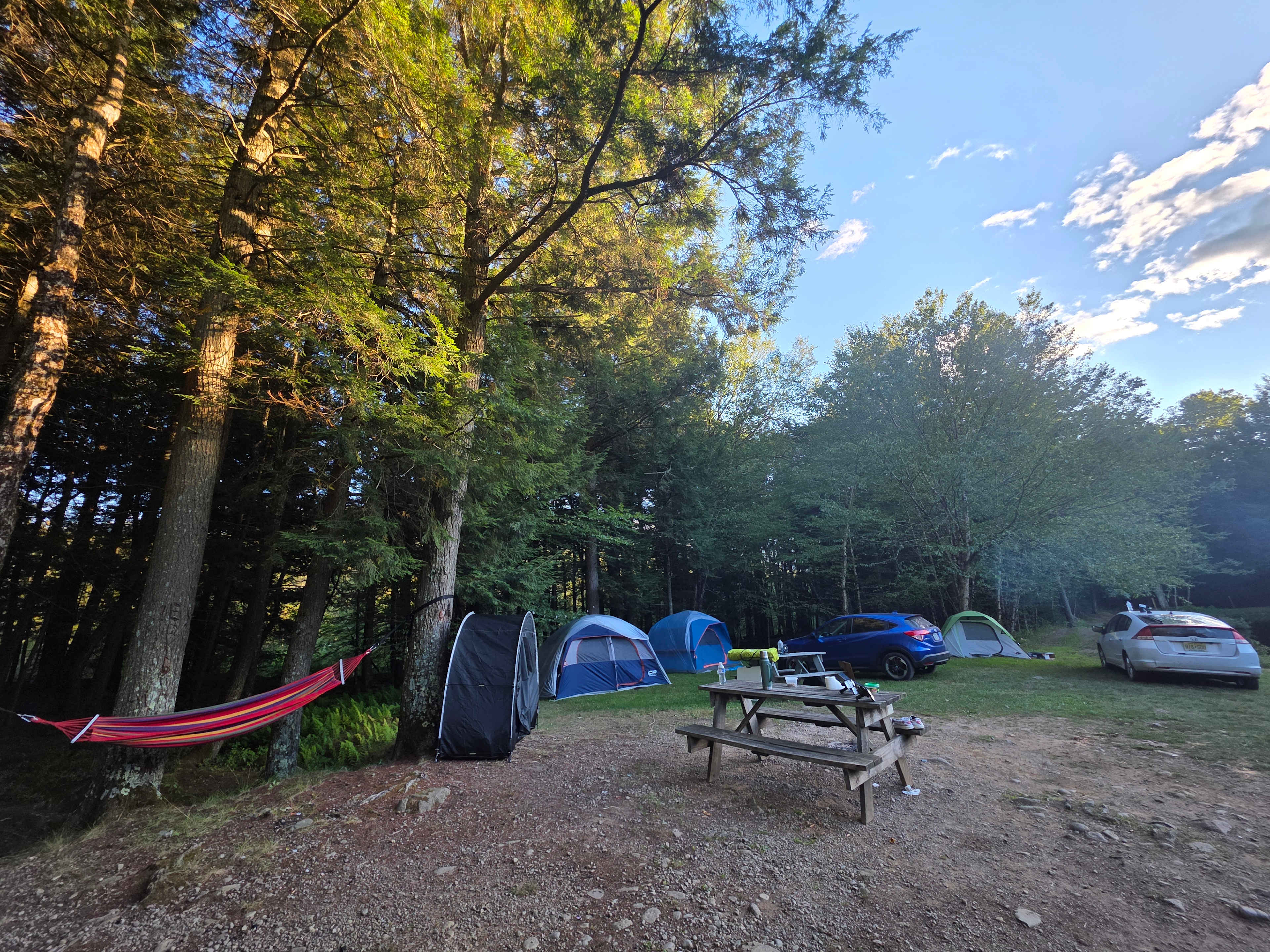 Picture of the site