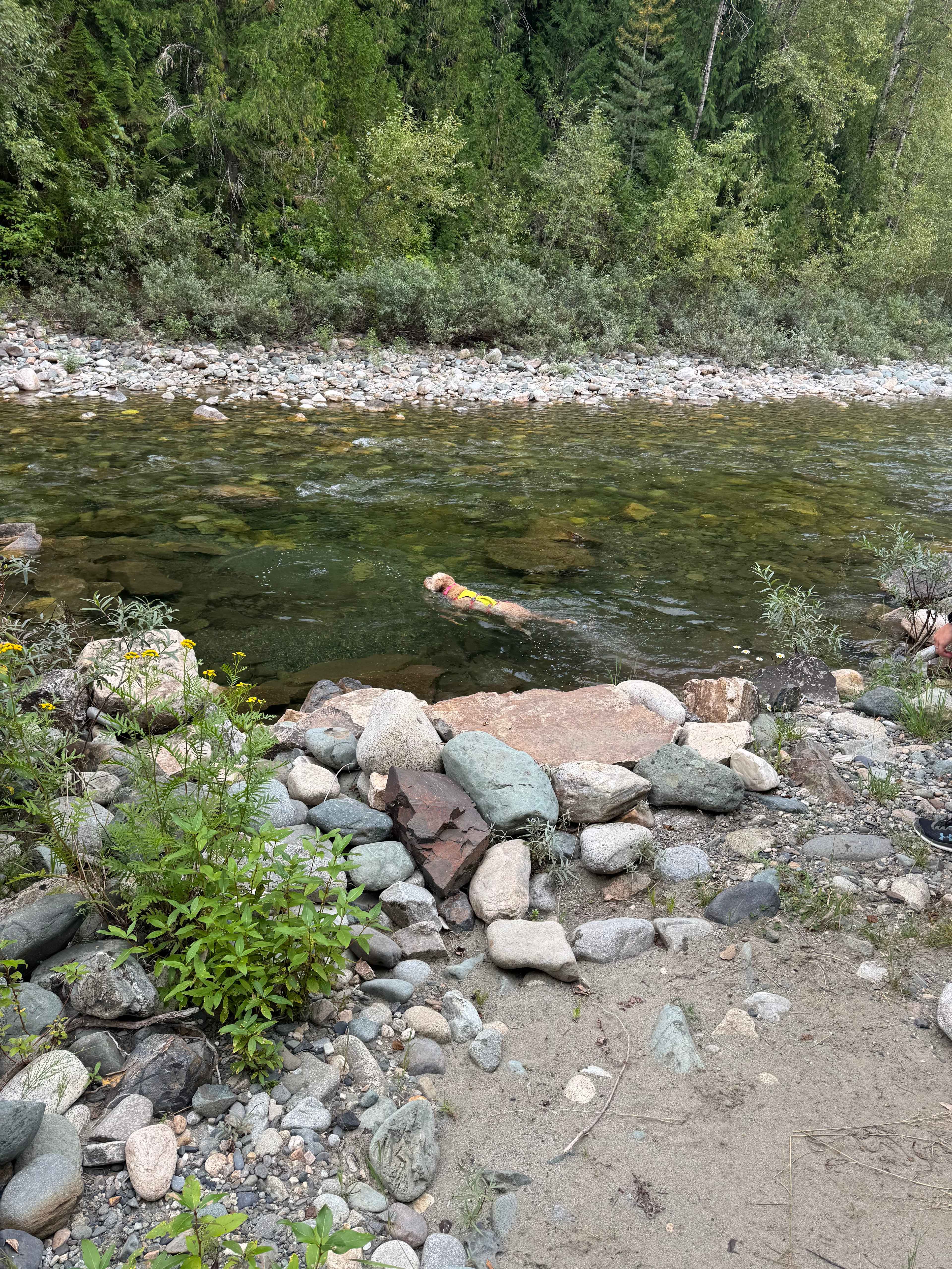 Picture of the site