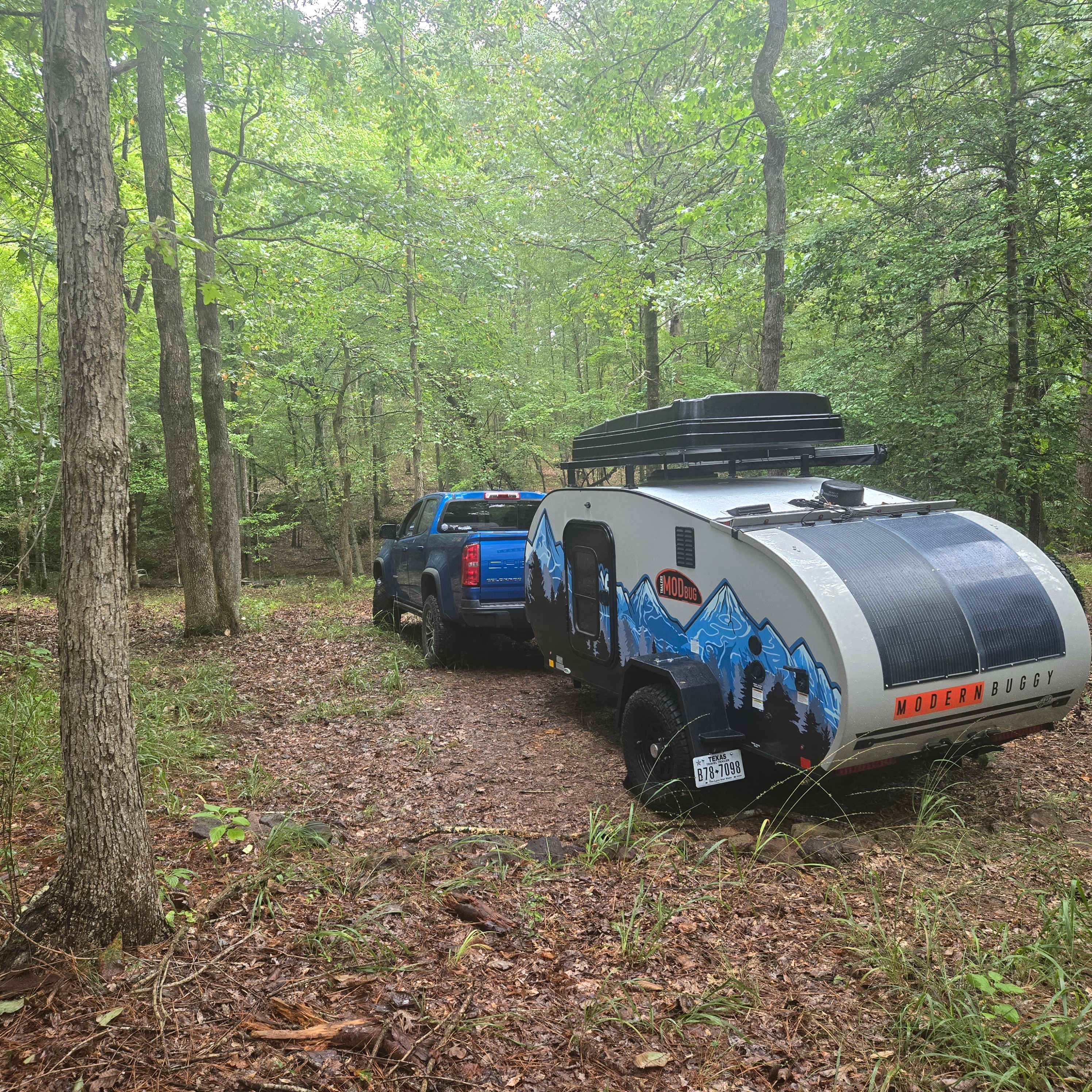 Picture of the site