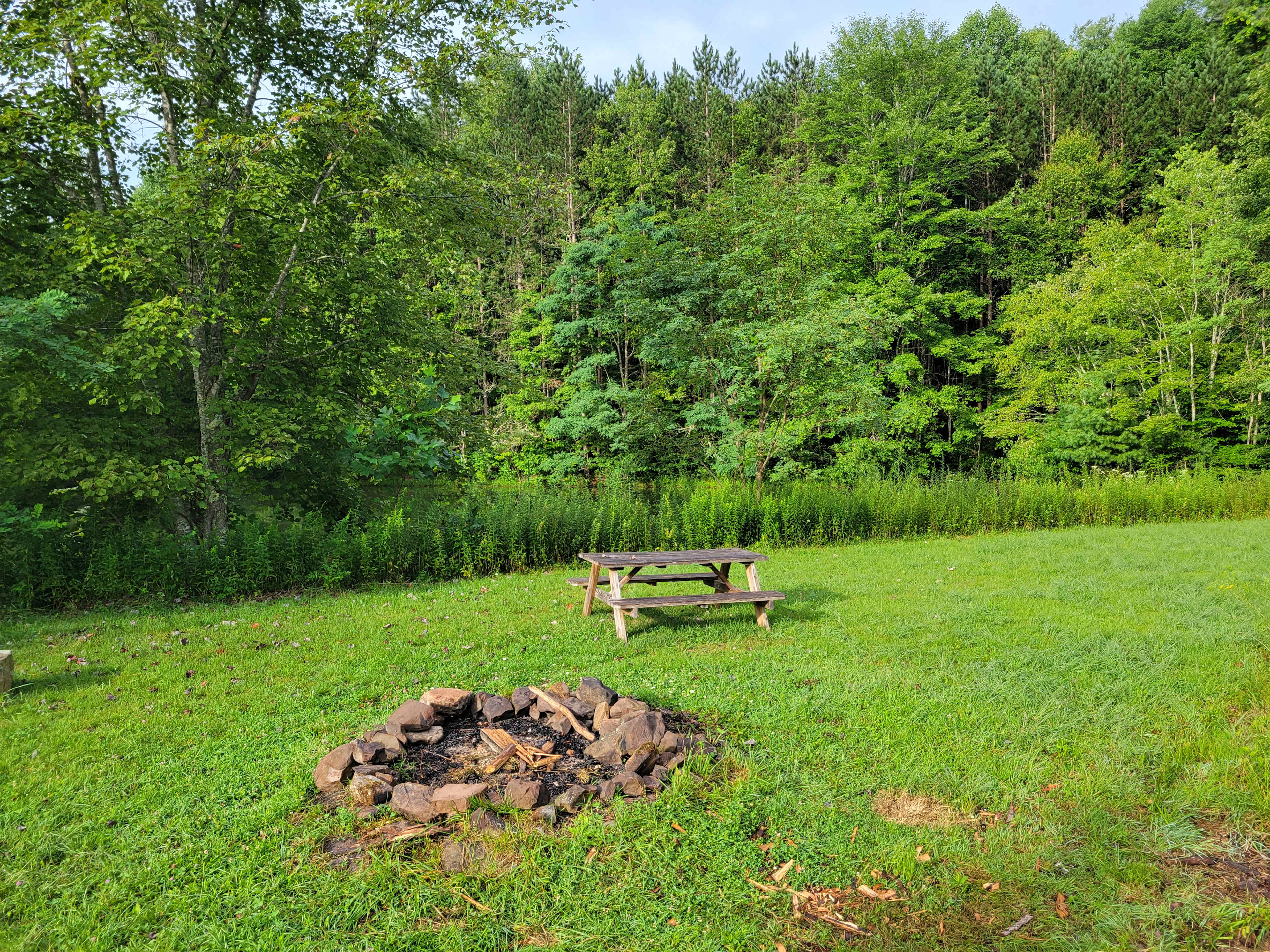 Picture of the site