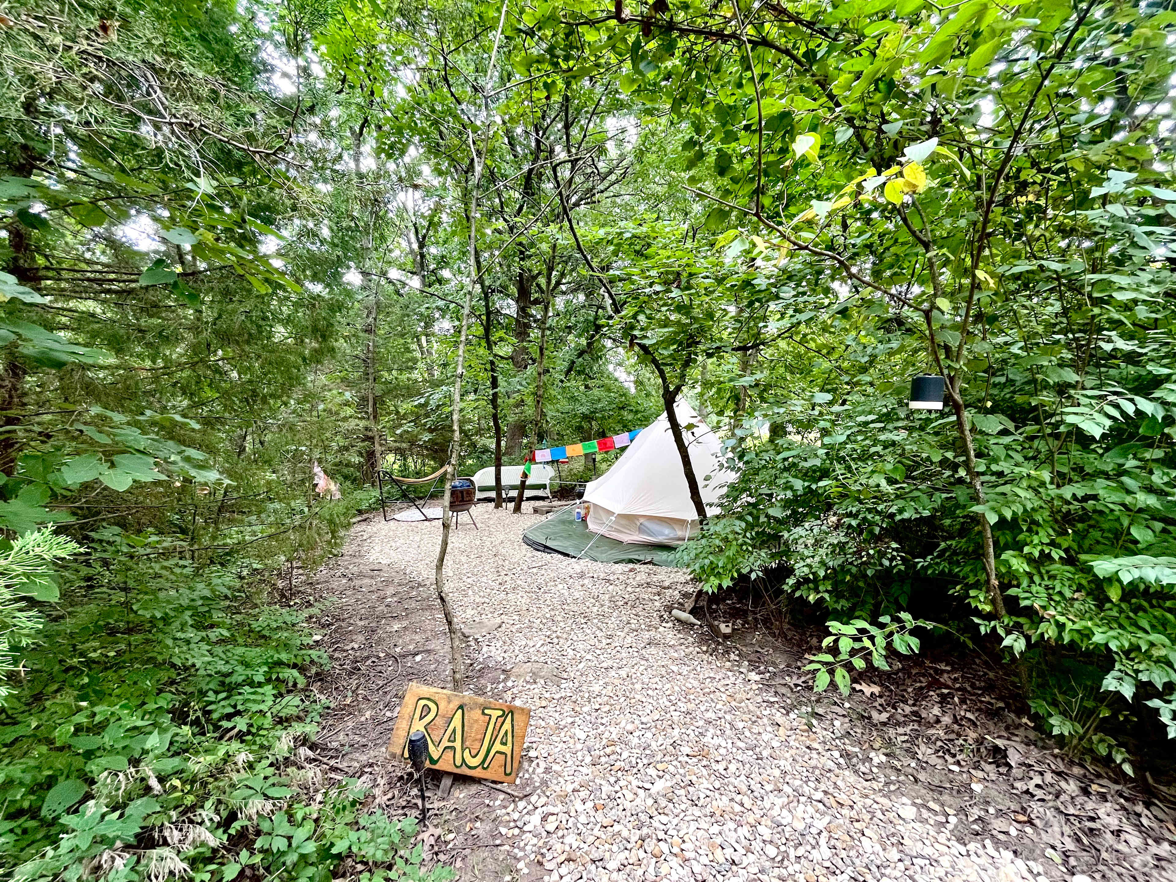 Picture of the site