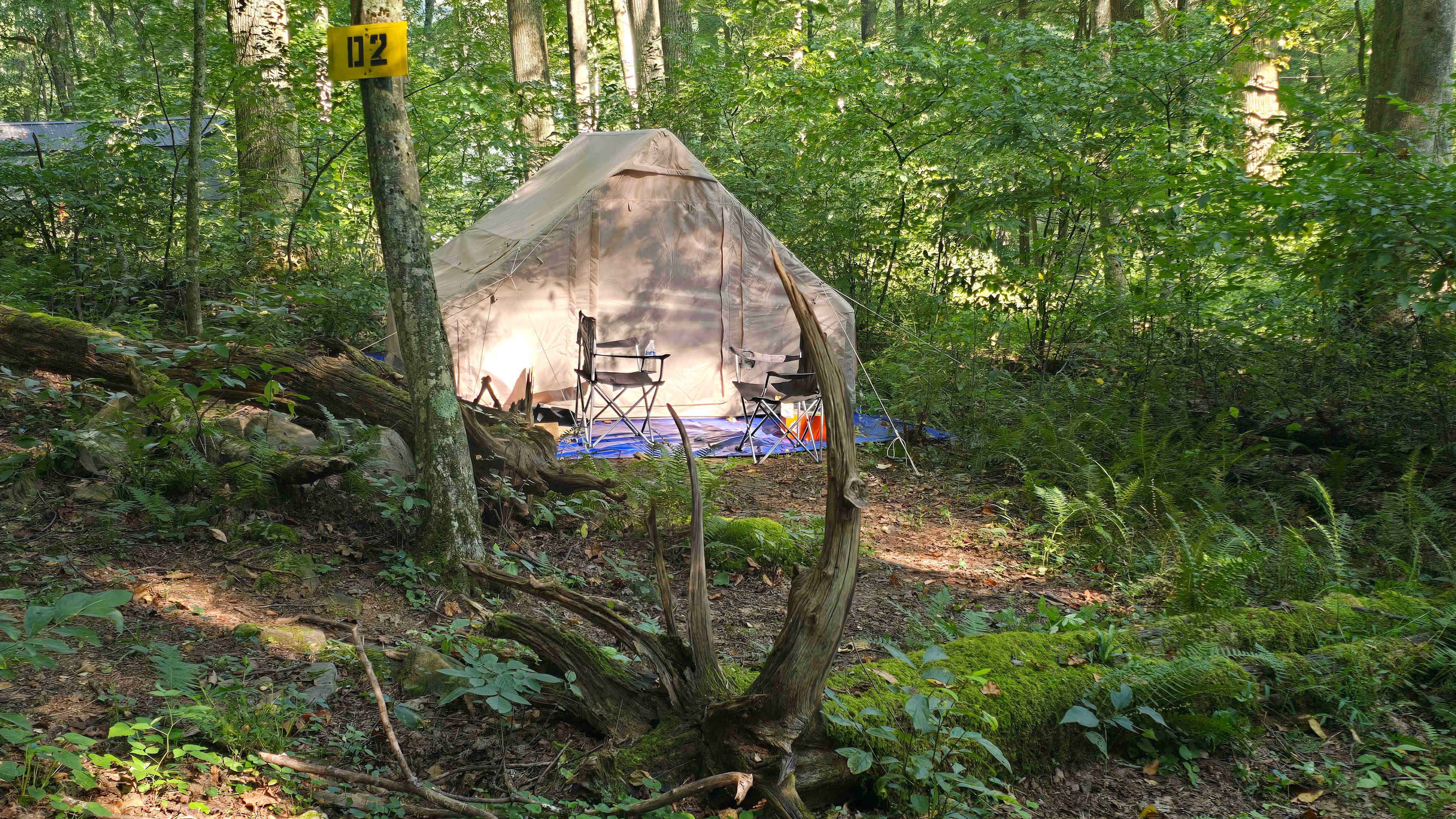 Picture of the site