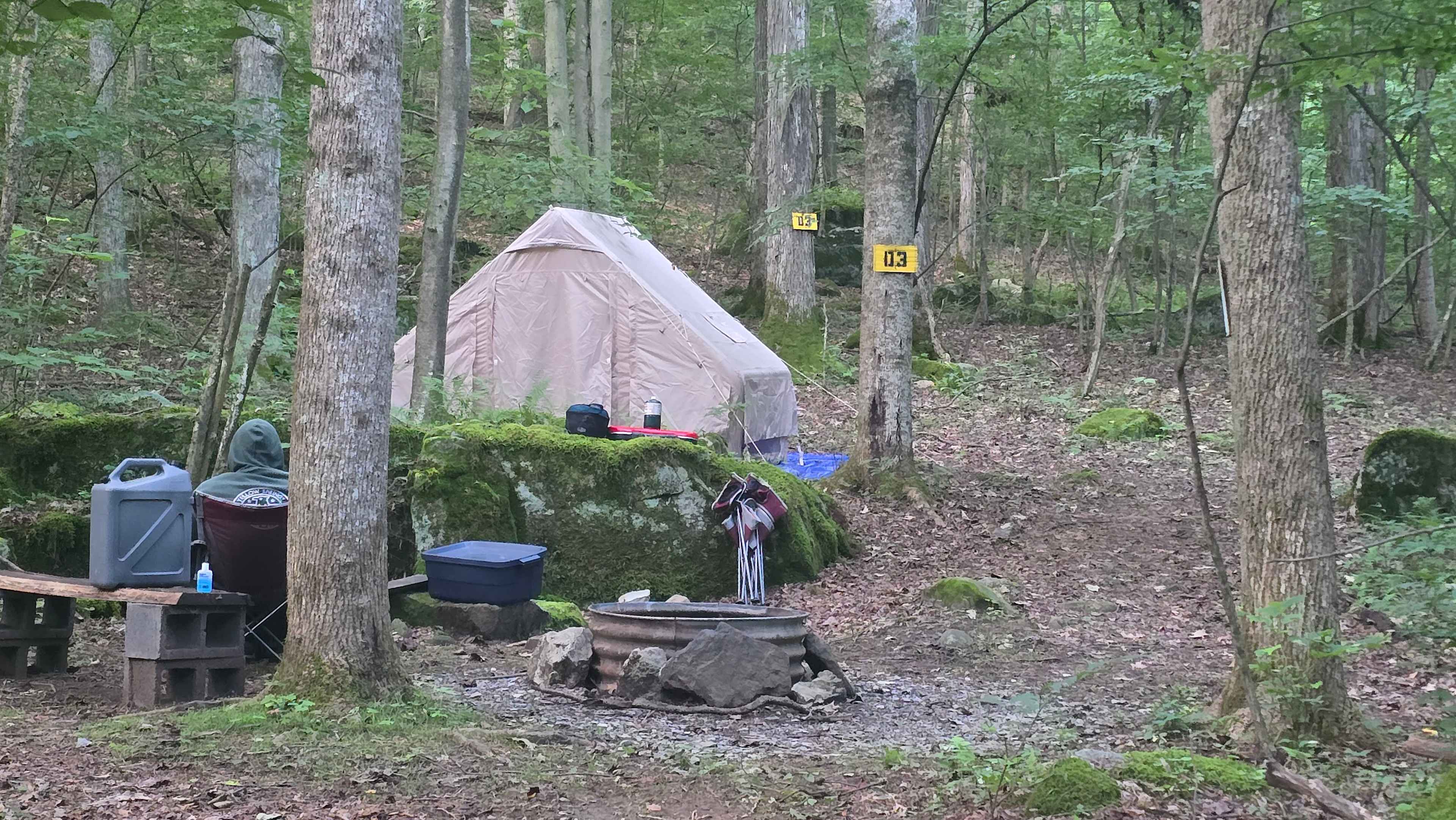 Picture of the site