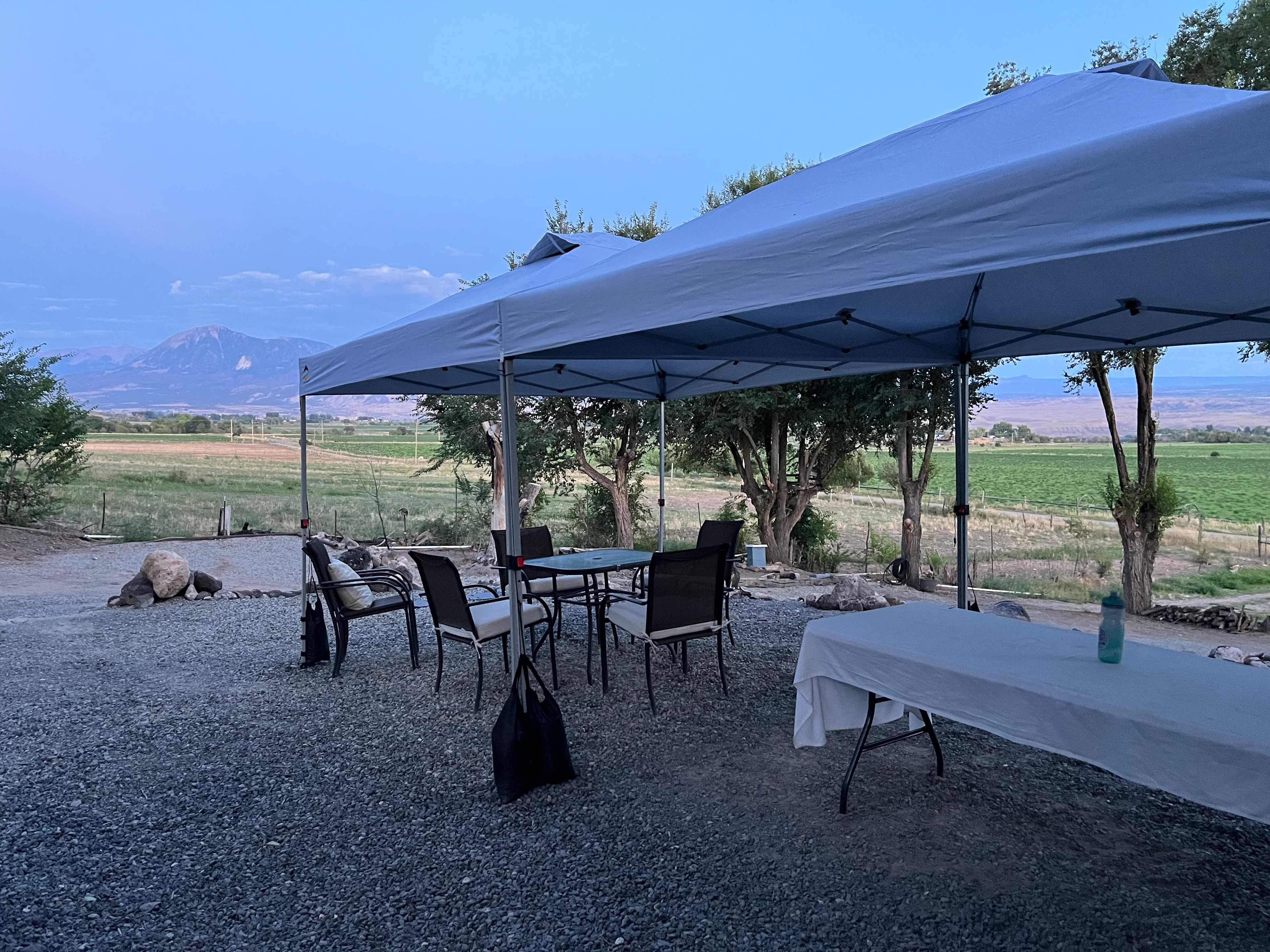 Picture of the site