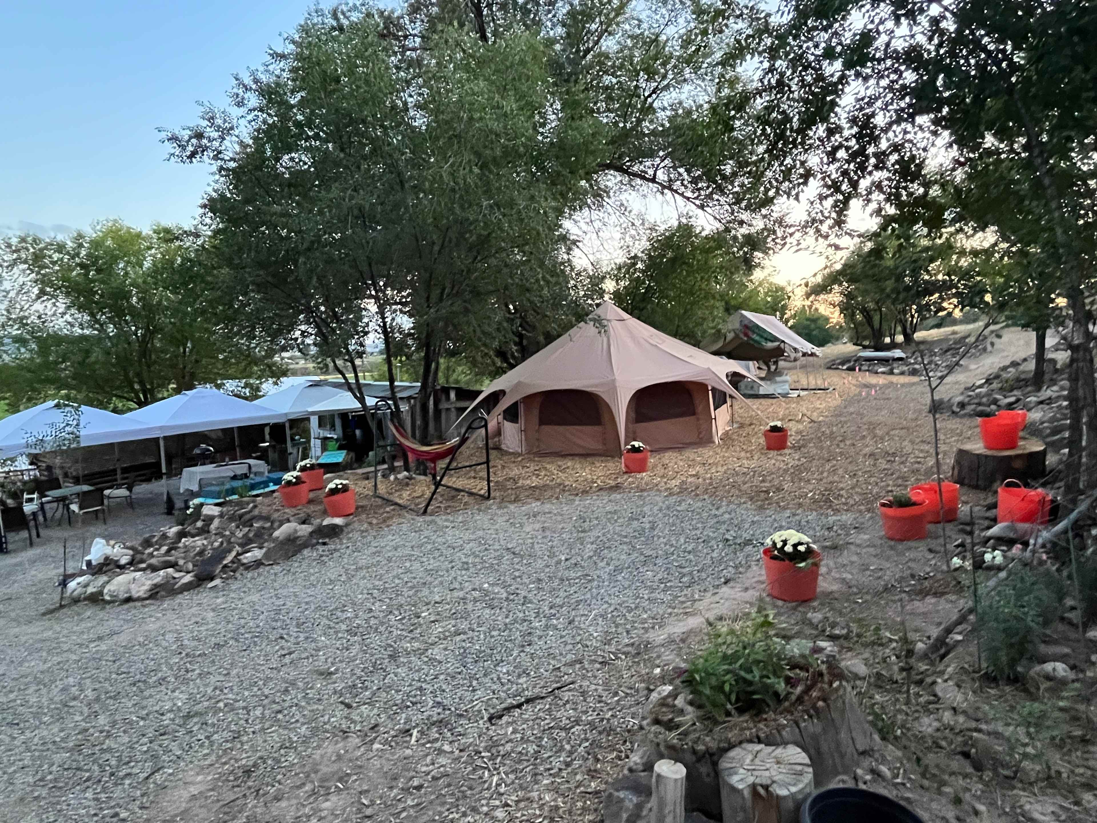 Picture of the site