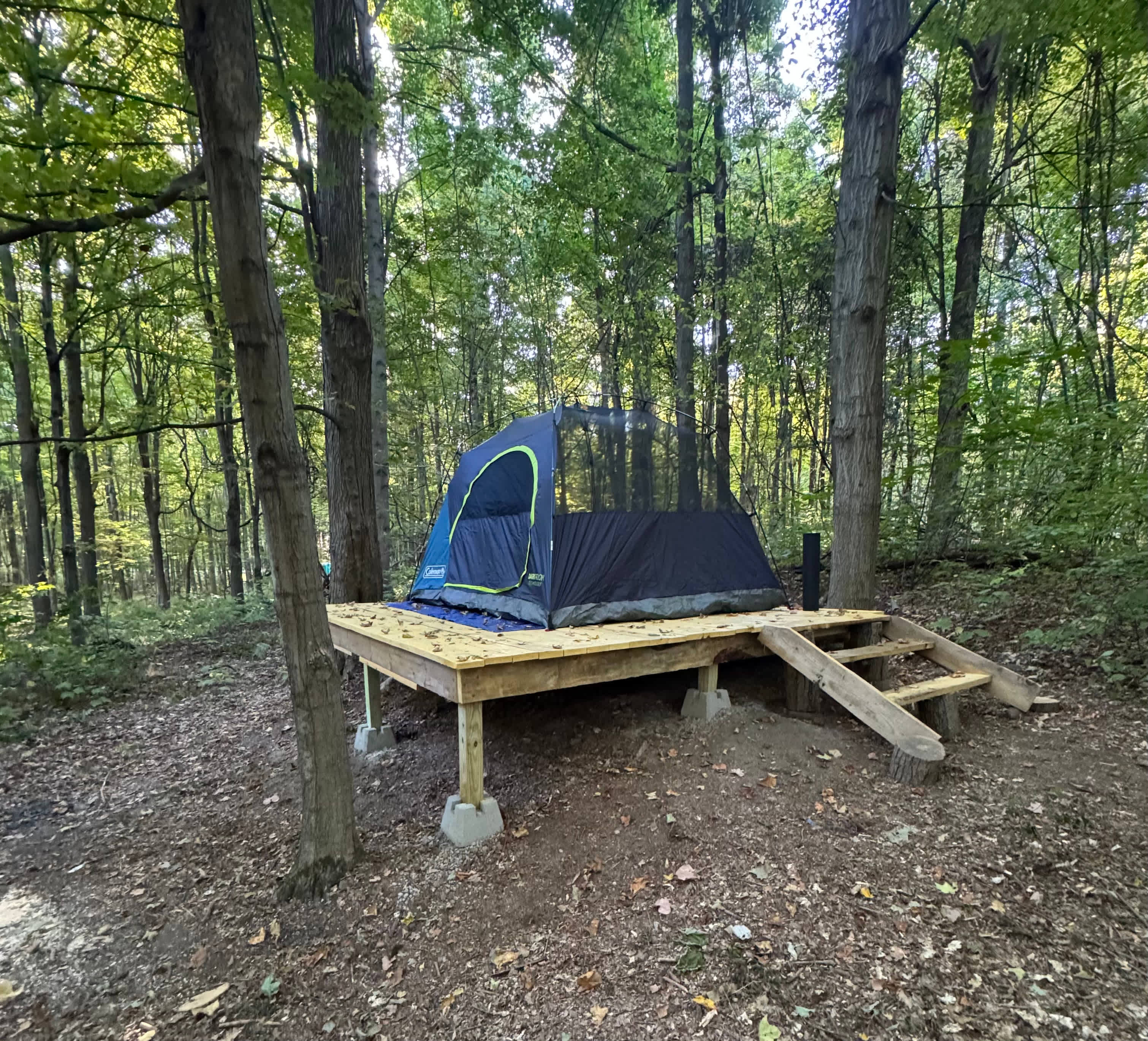 Picture of the site