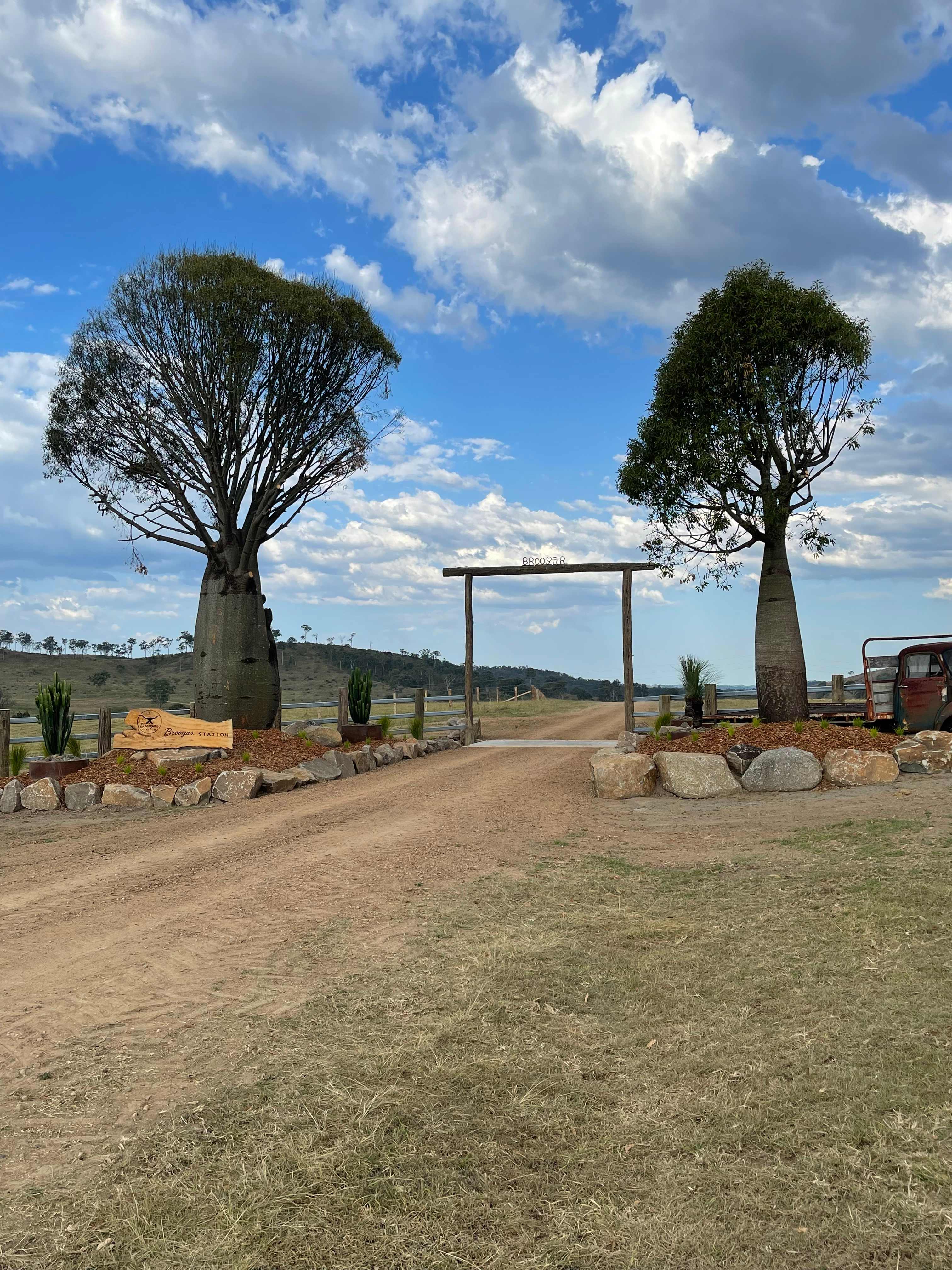 Picture of the site