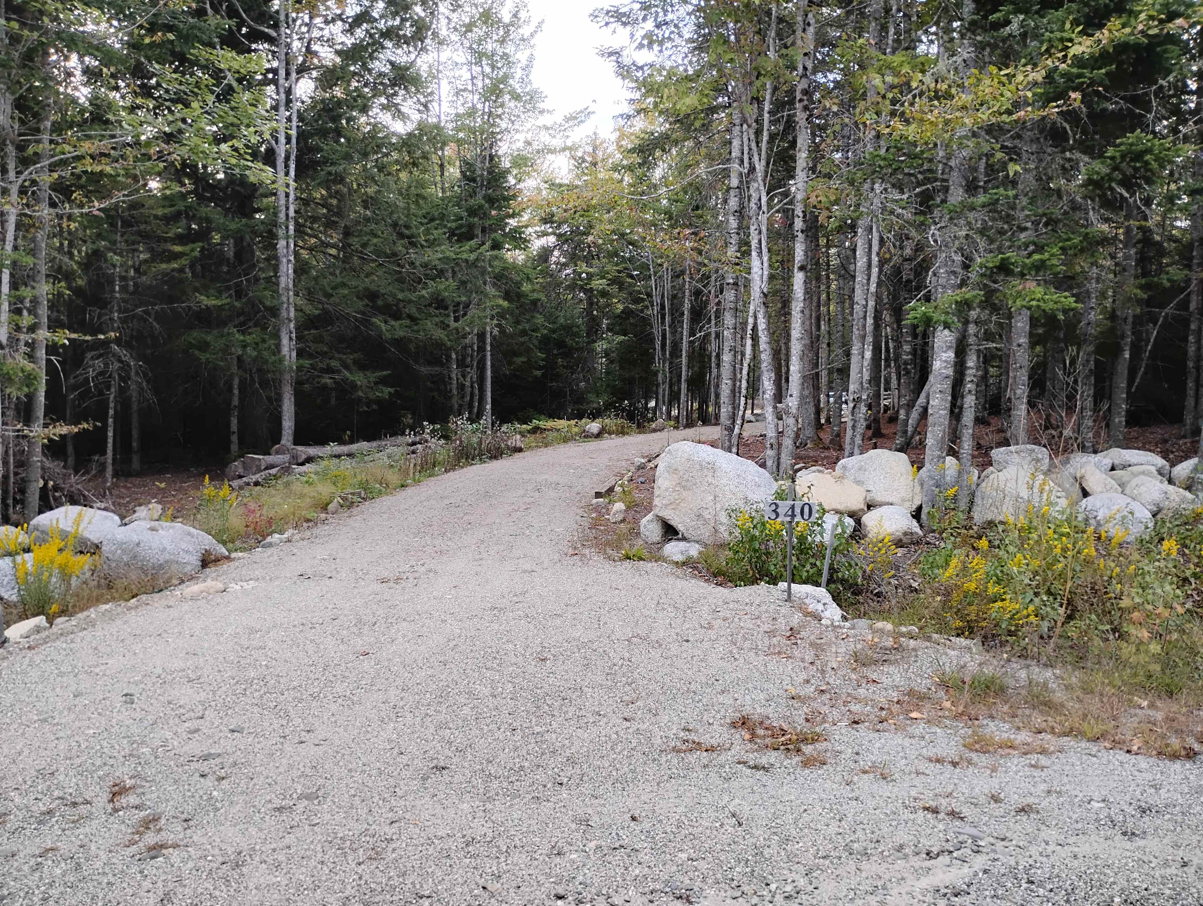 Picture of the site