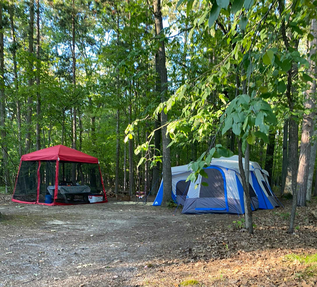 Picture of the site