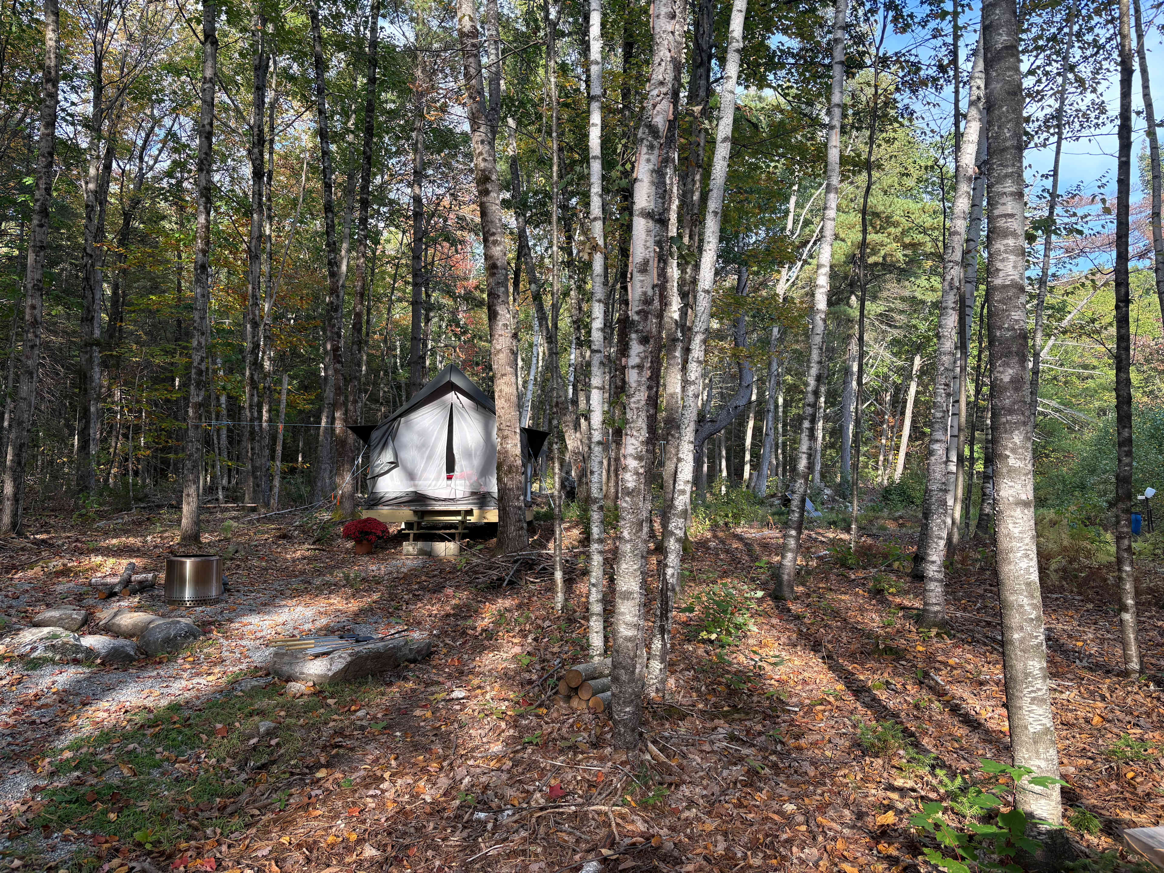 Picture of the site