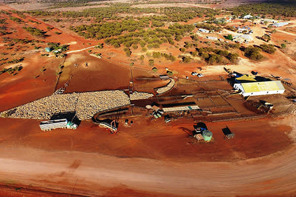 Picture of the site
