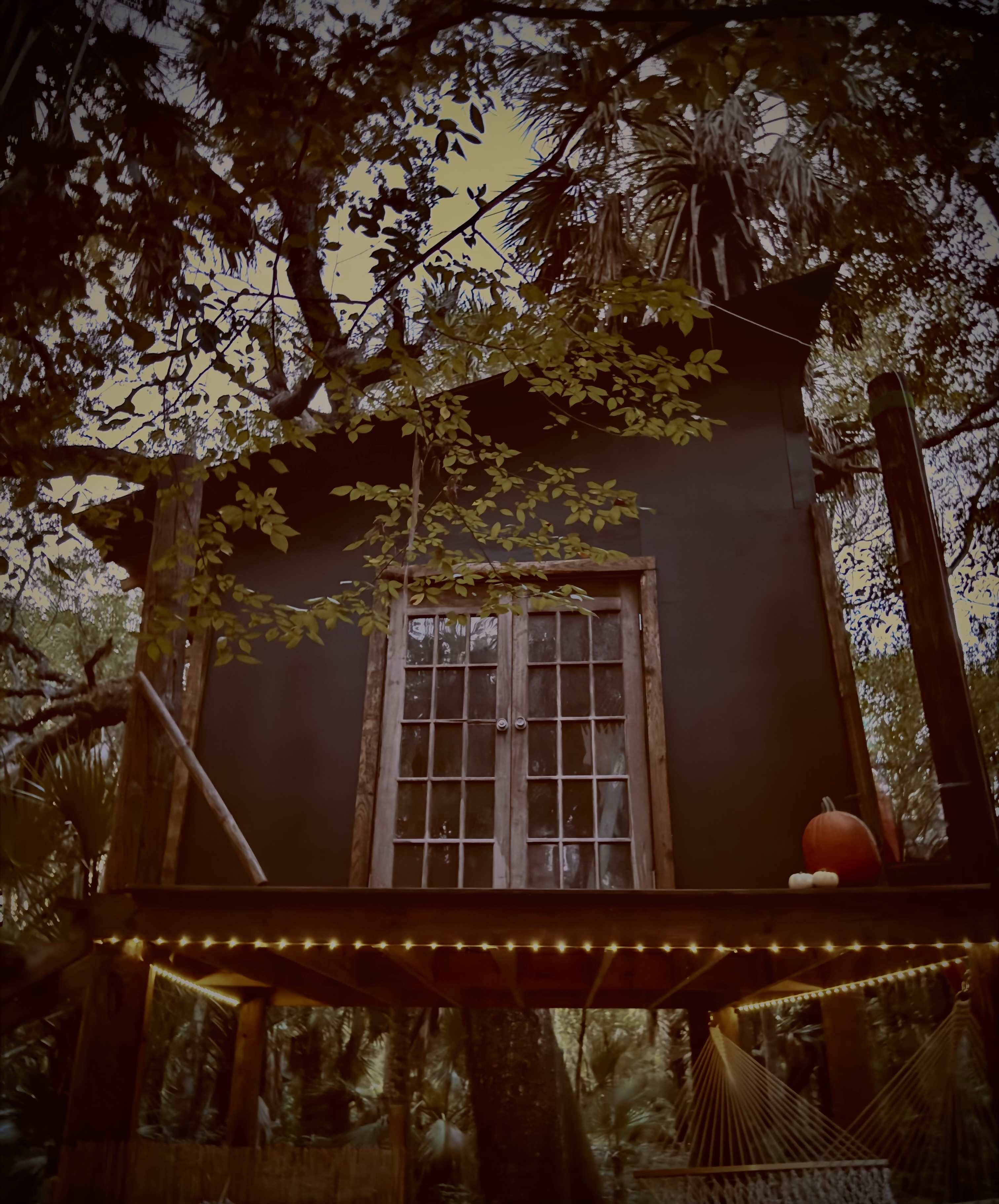 Off Grid Florida Coming soon! Off grid TREEHOUSE - Hipcamp in Arcadia, Florida