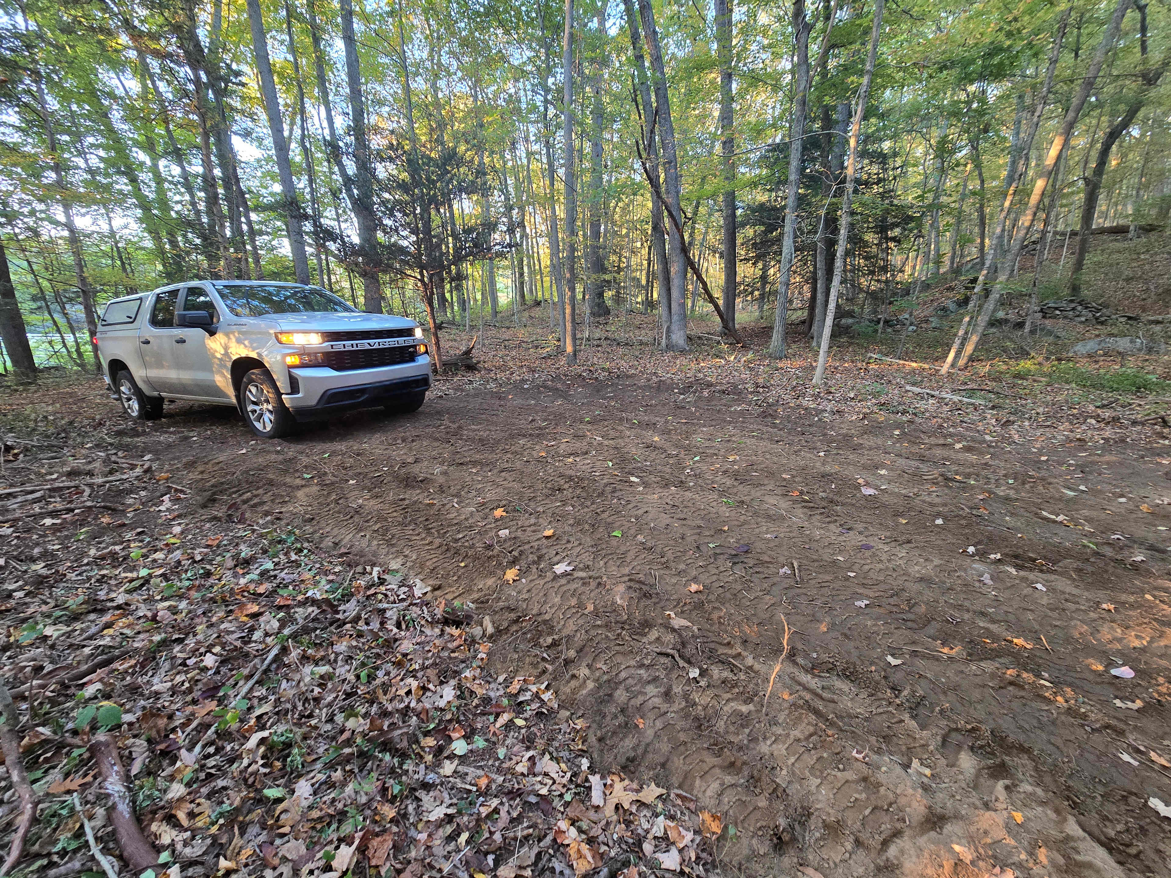 Picture of the site