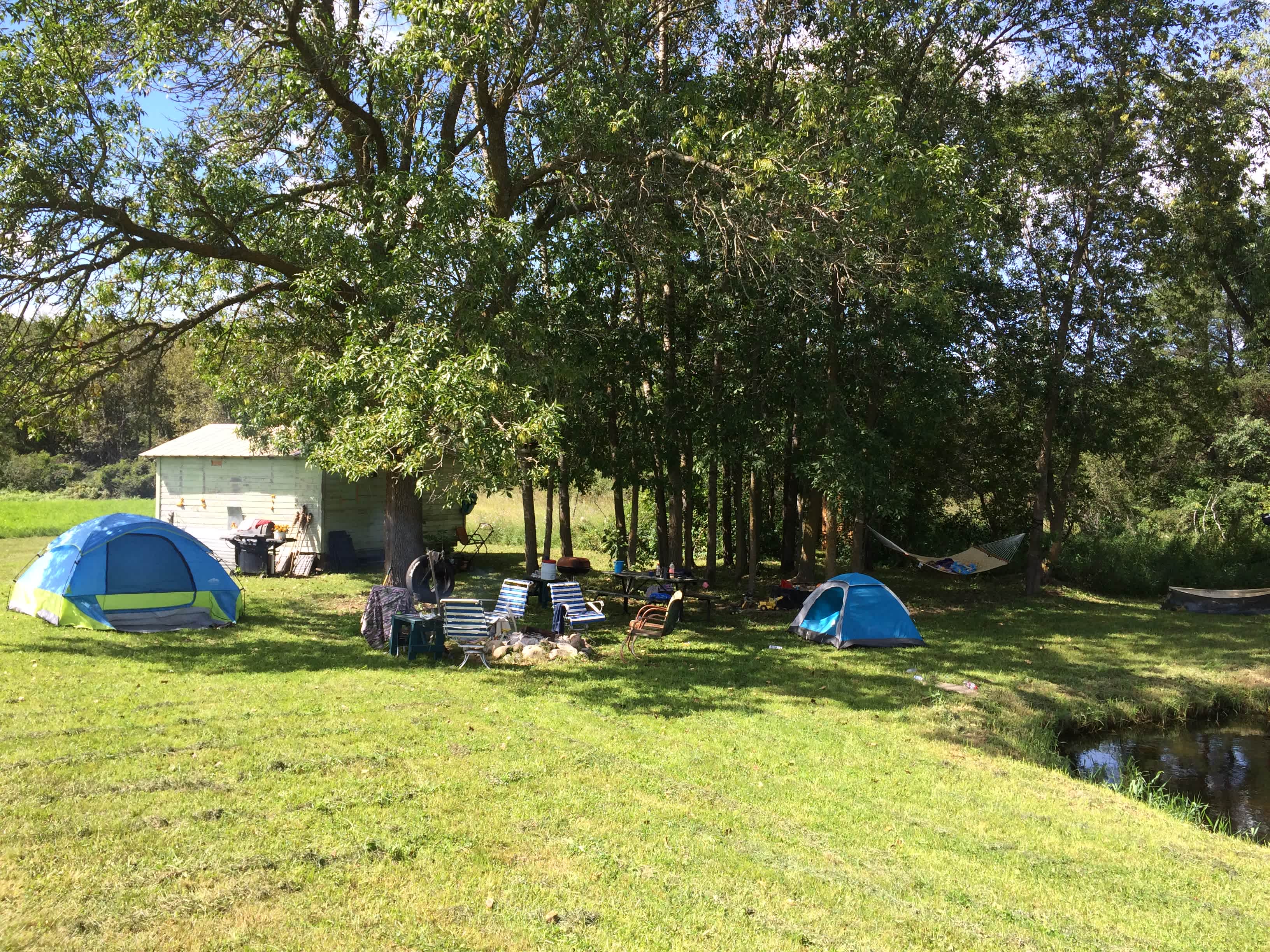 Picture of the site