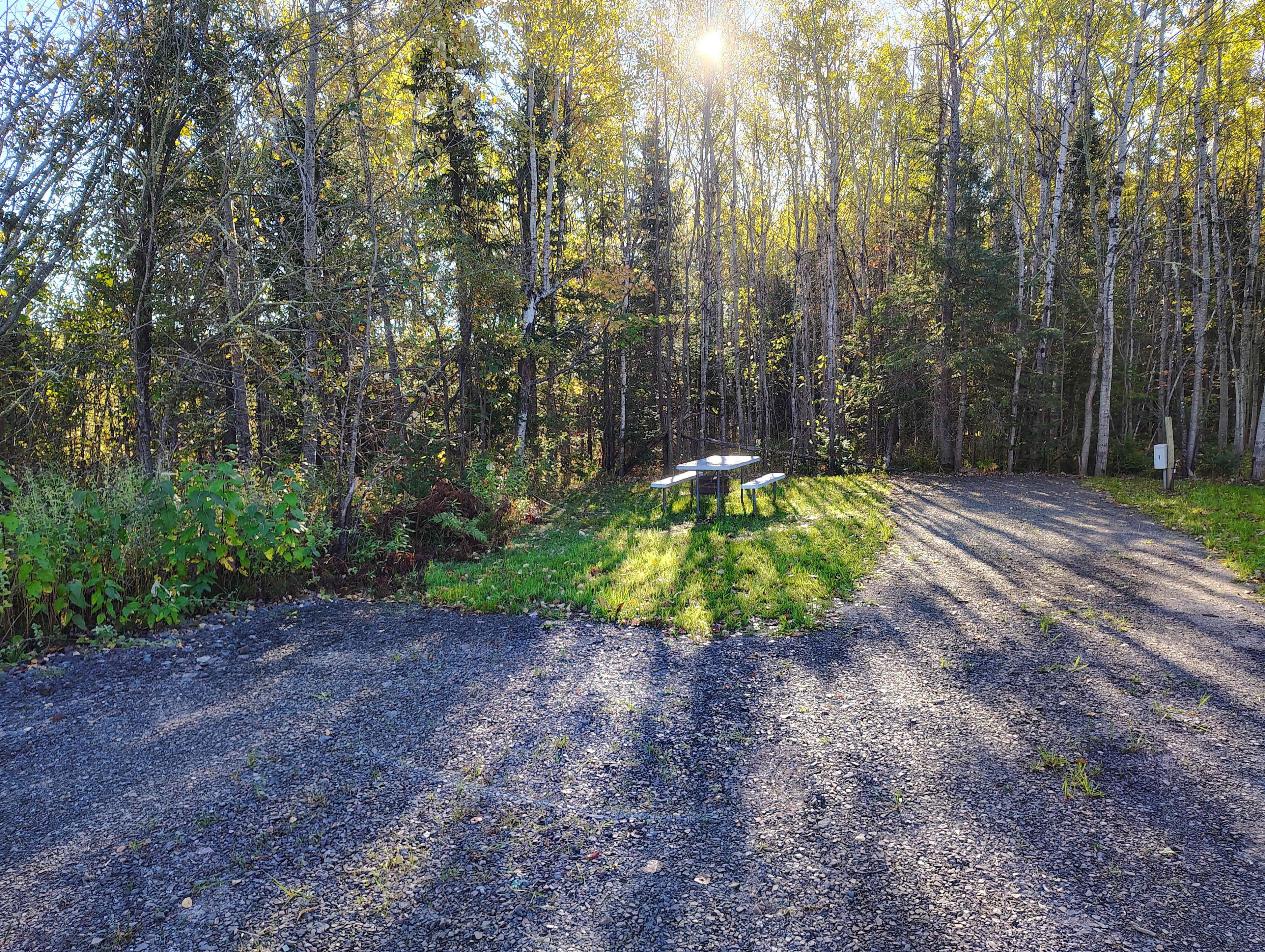 Picture of the site