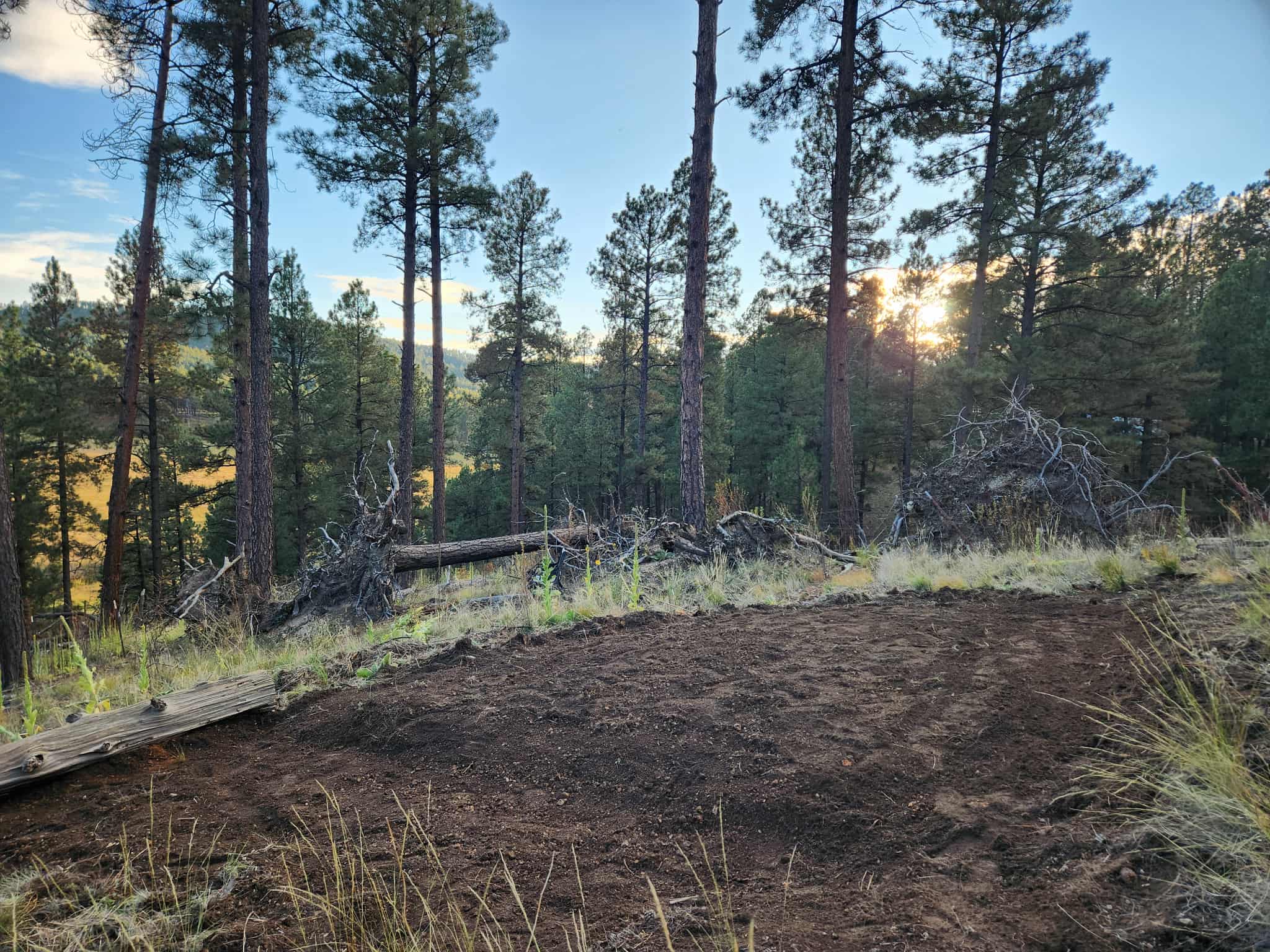 Picture of the site