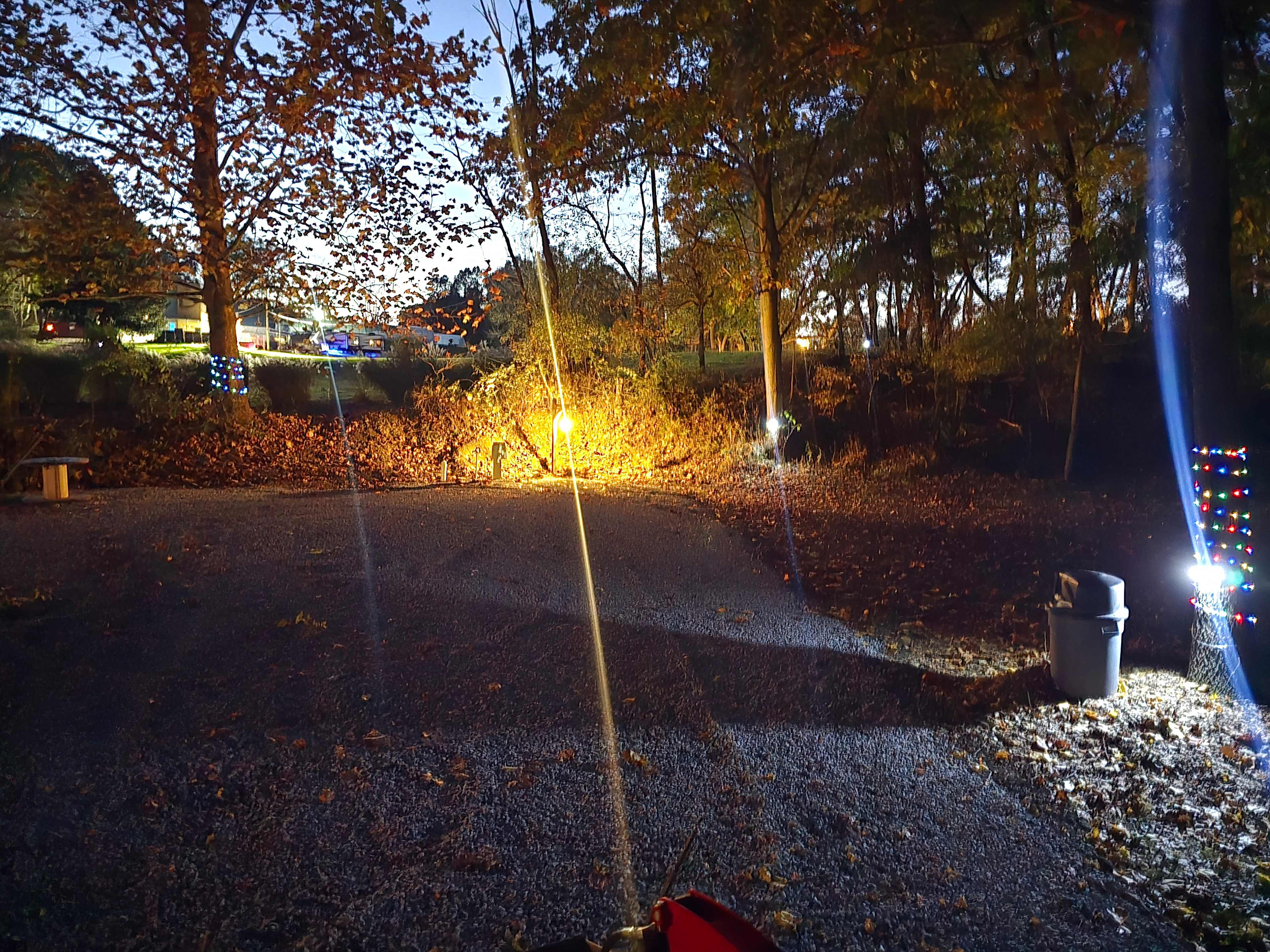 Picture of the site