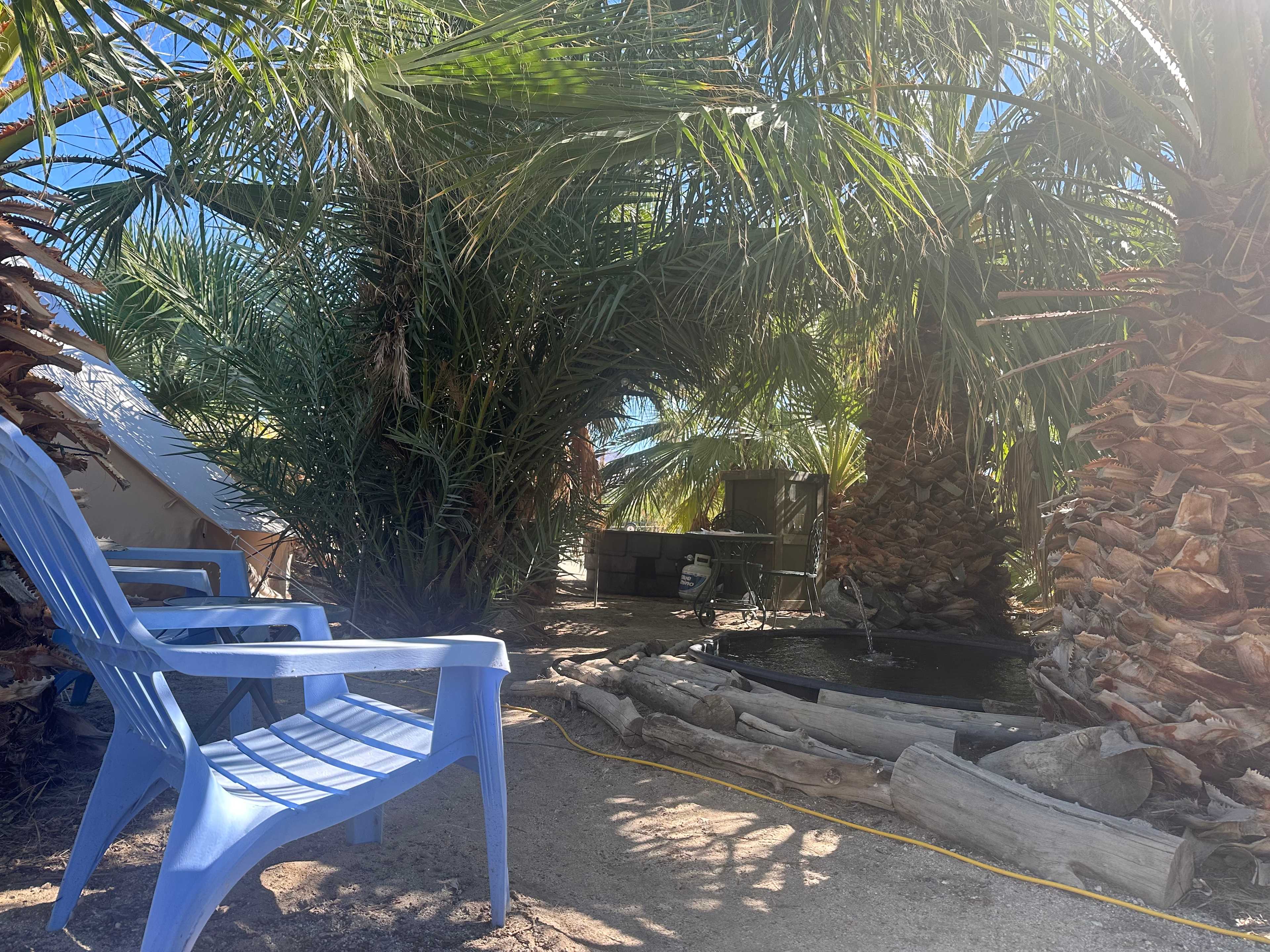 Picture of the site