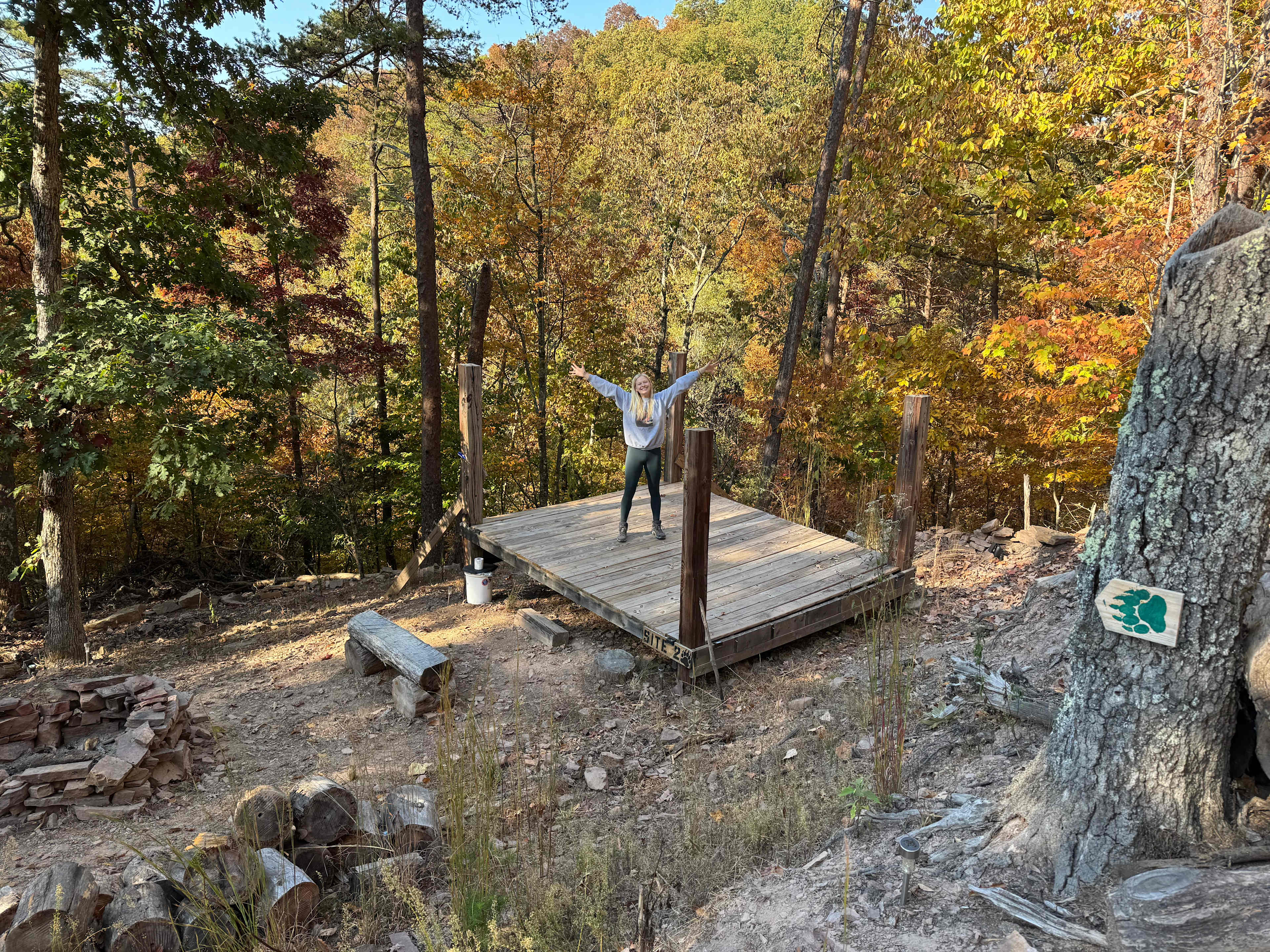 Picture of the site
