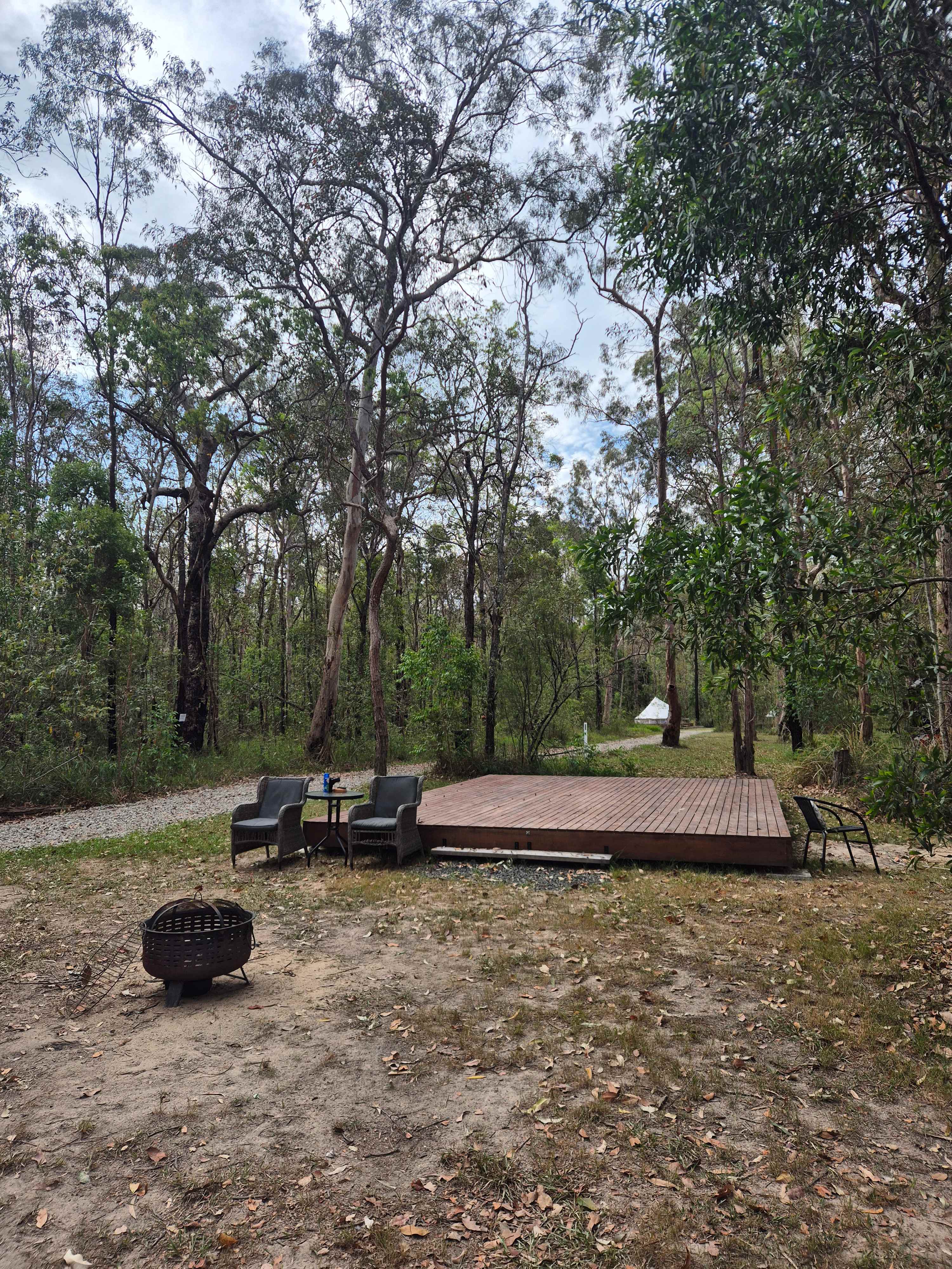 Picture of the site