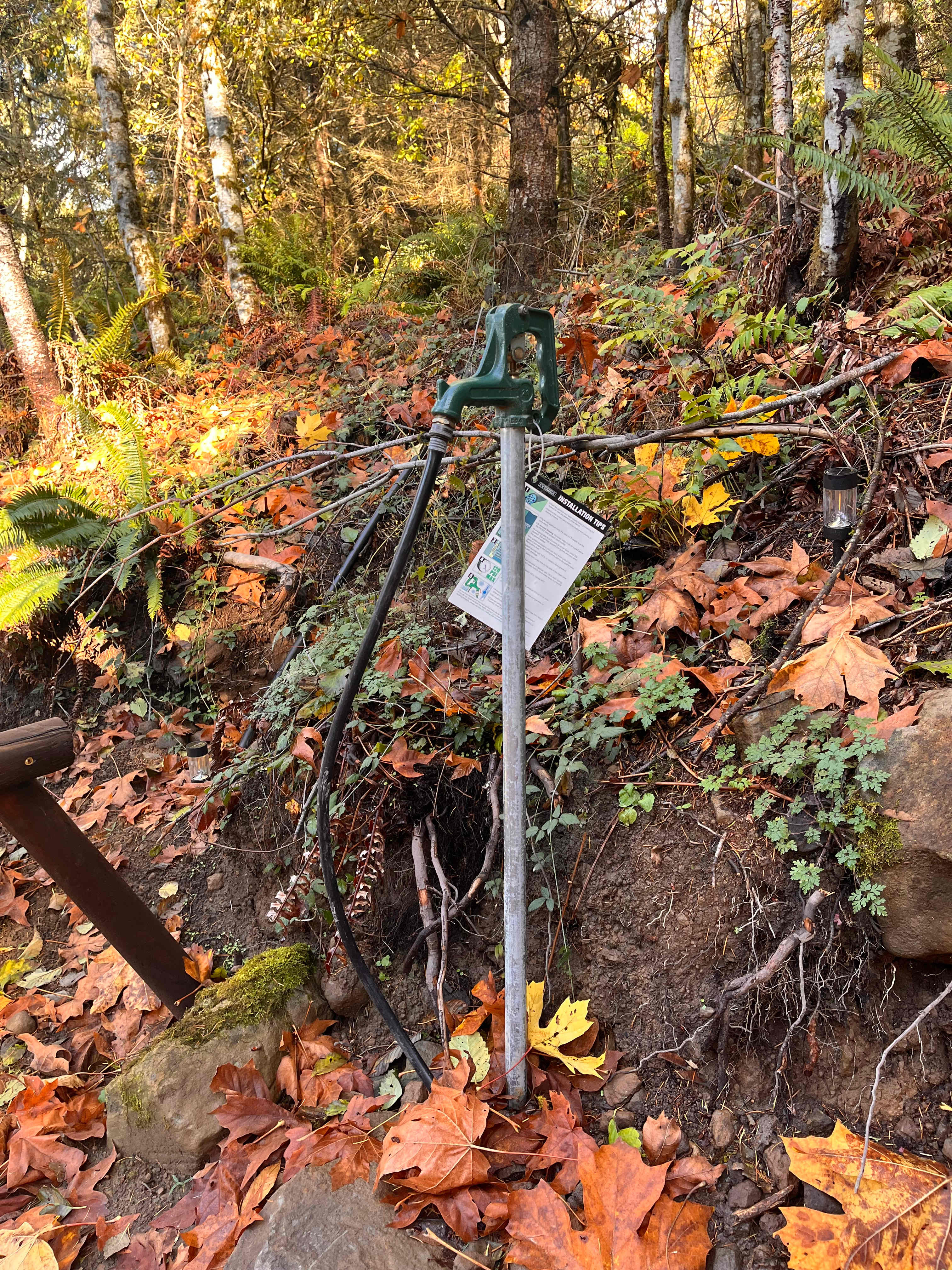 Picture of the site