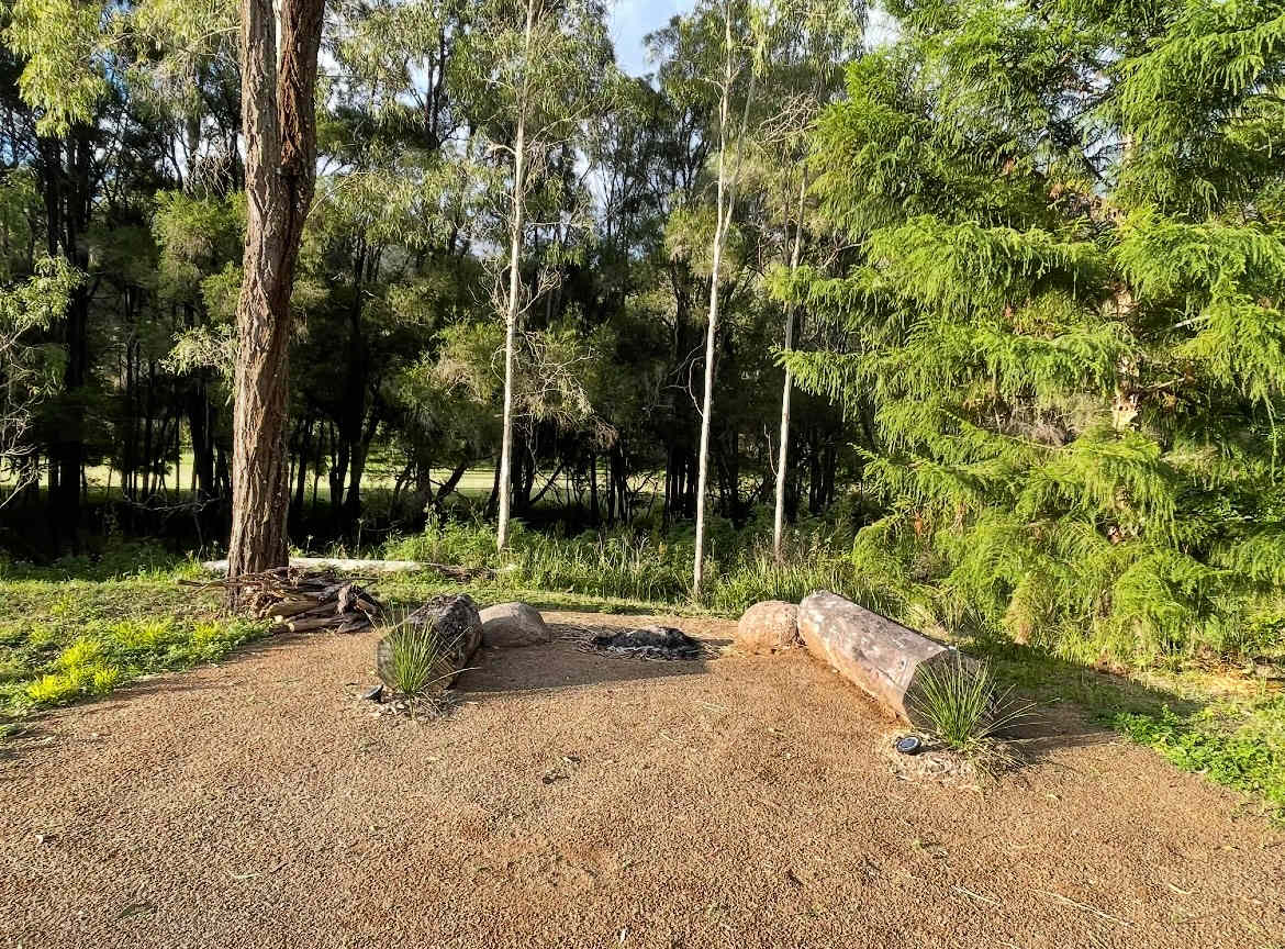 Picture of the site