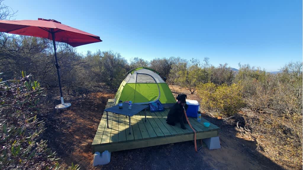 Picture of the site