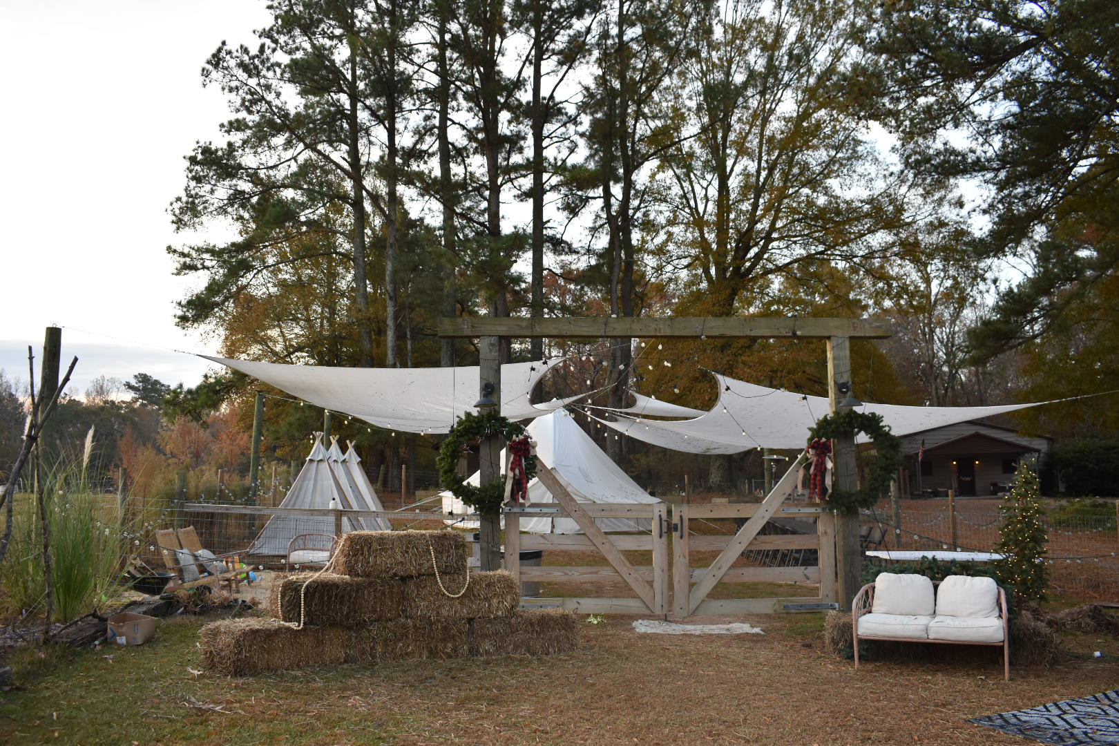 Picture of the site