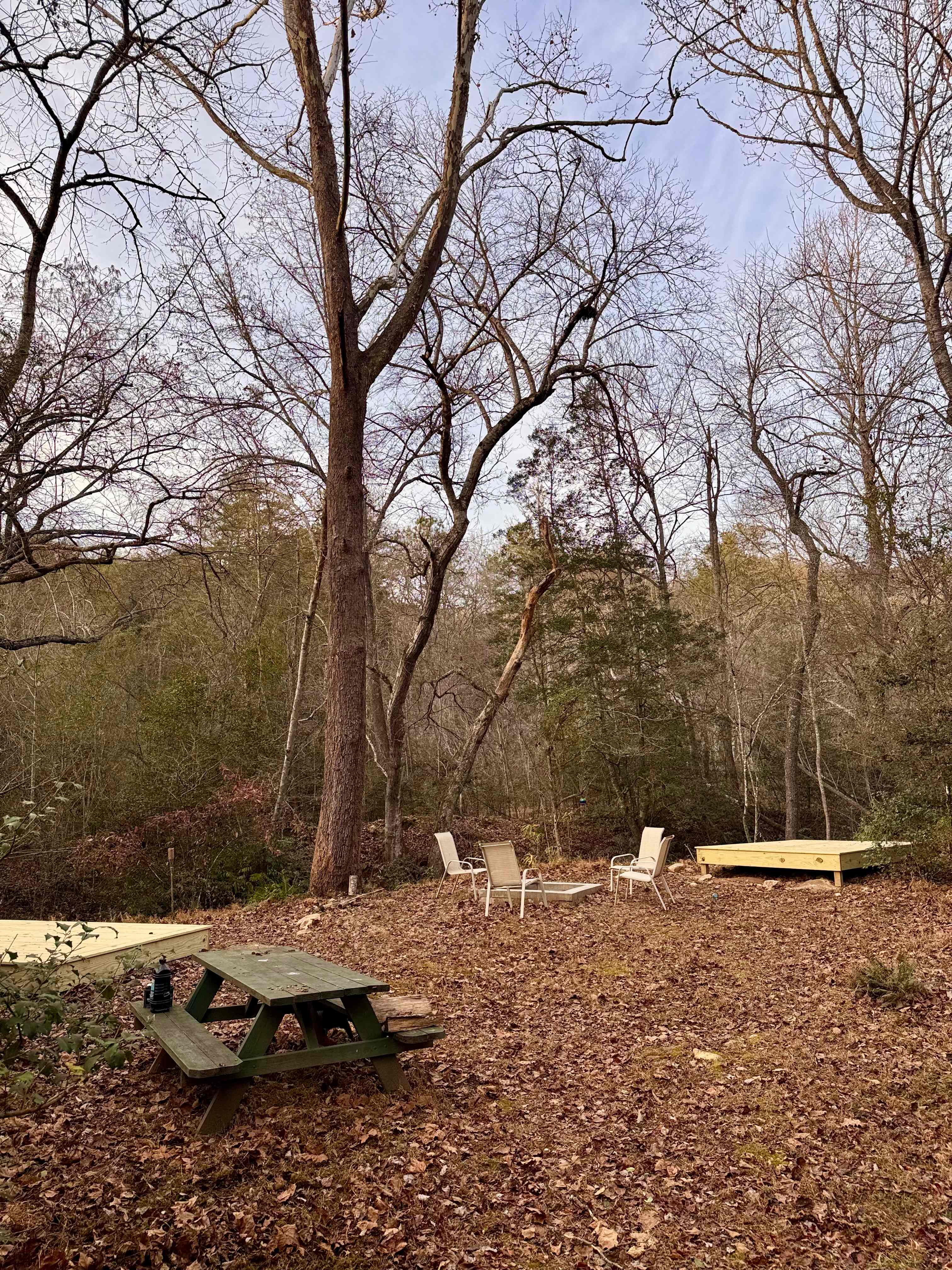 Picture of the site