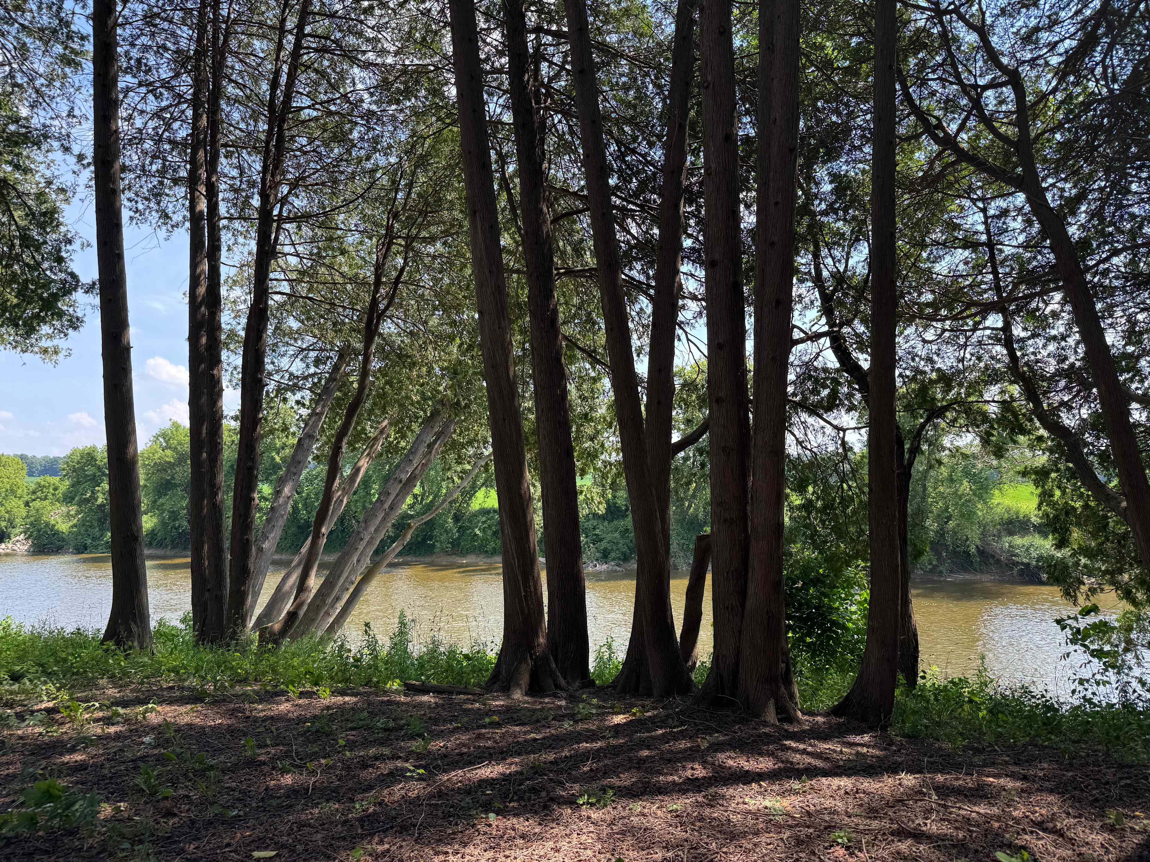 Picture of the site