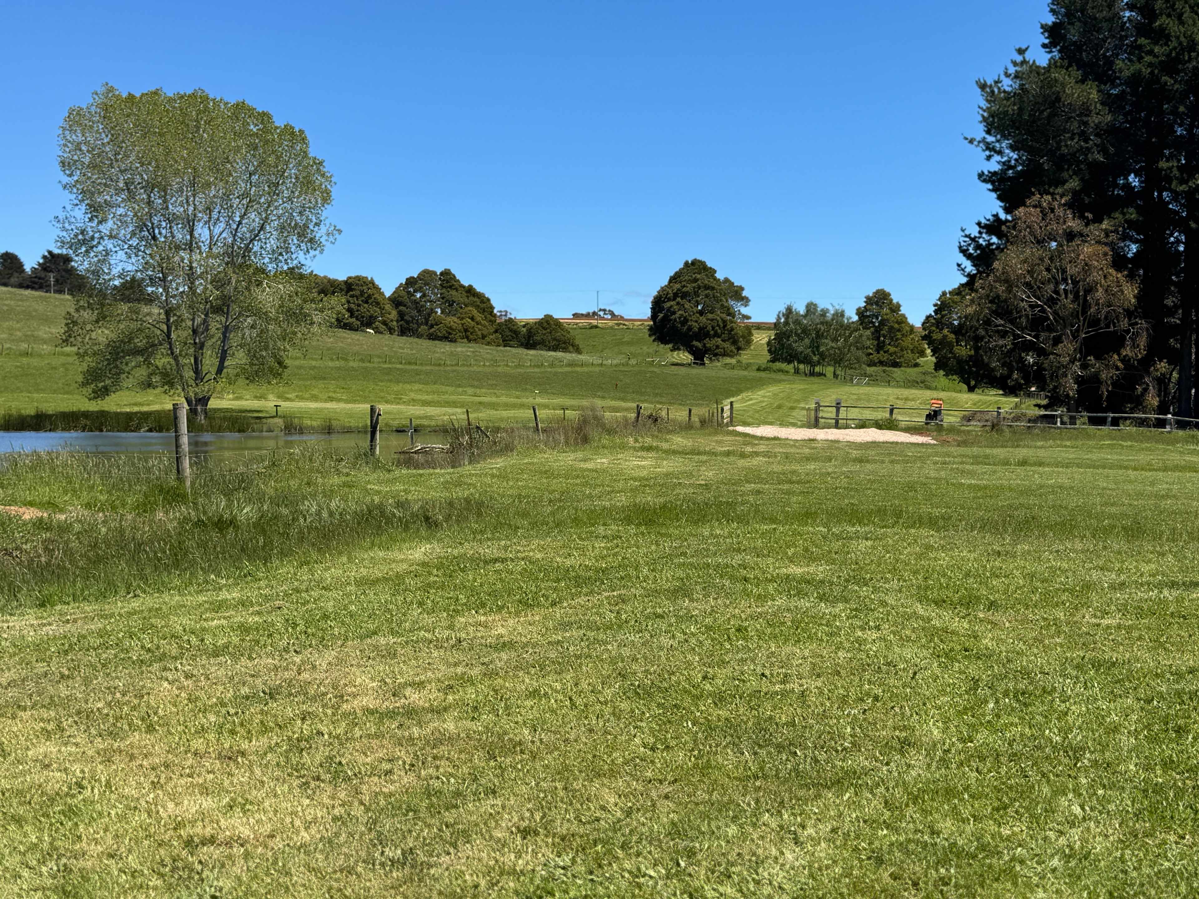 Picture of the site