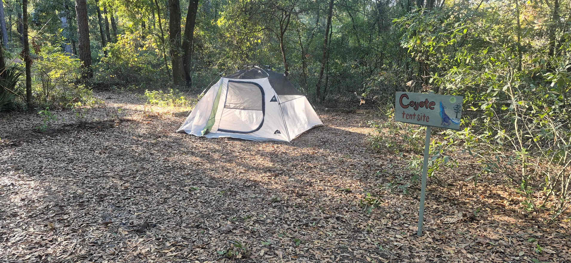 Picture of the site