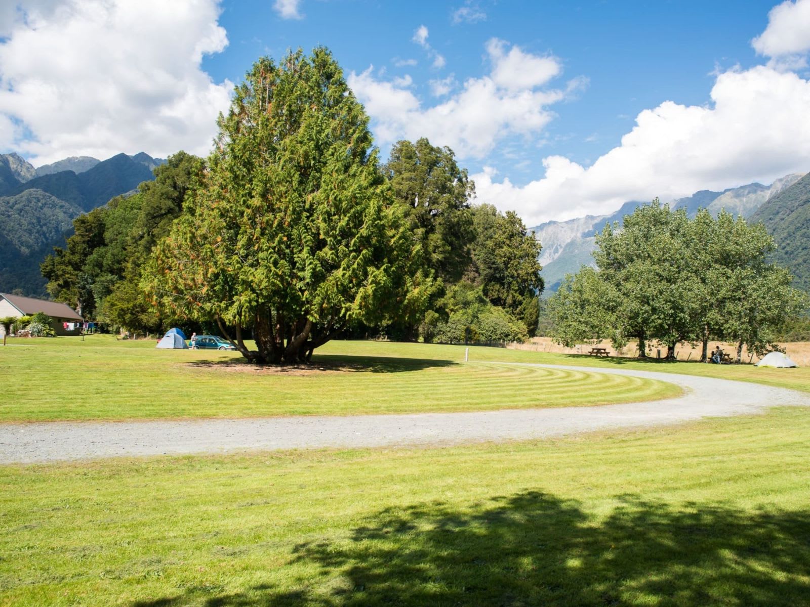 Picture of the site