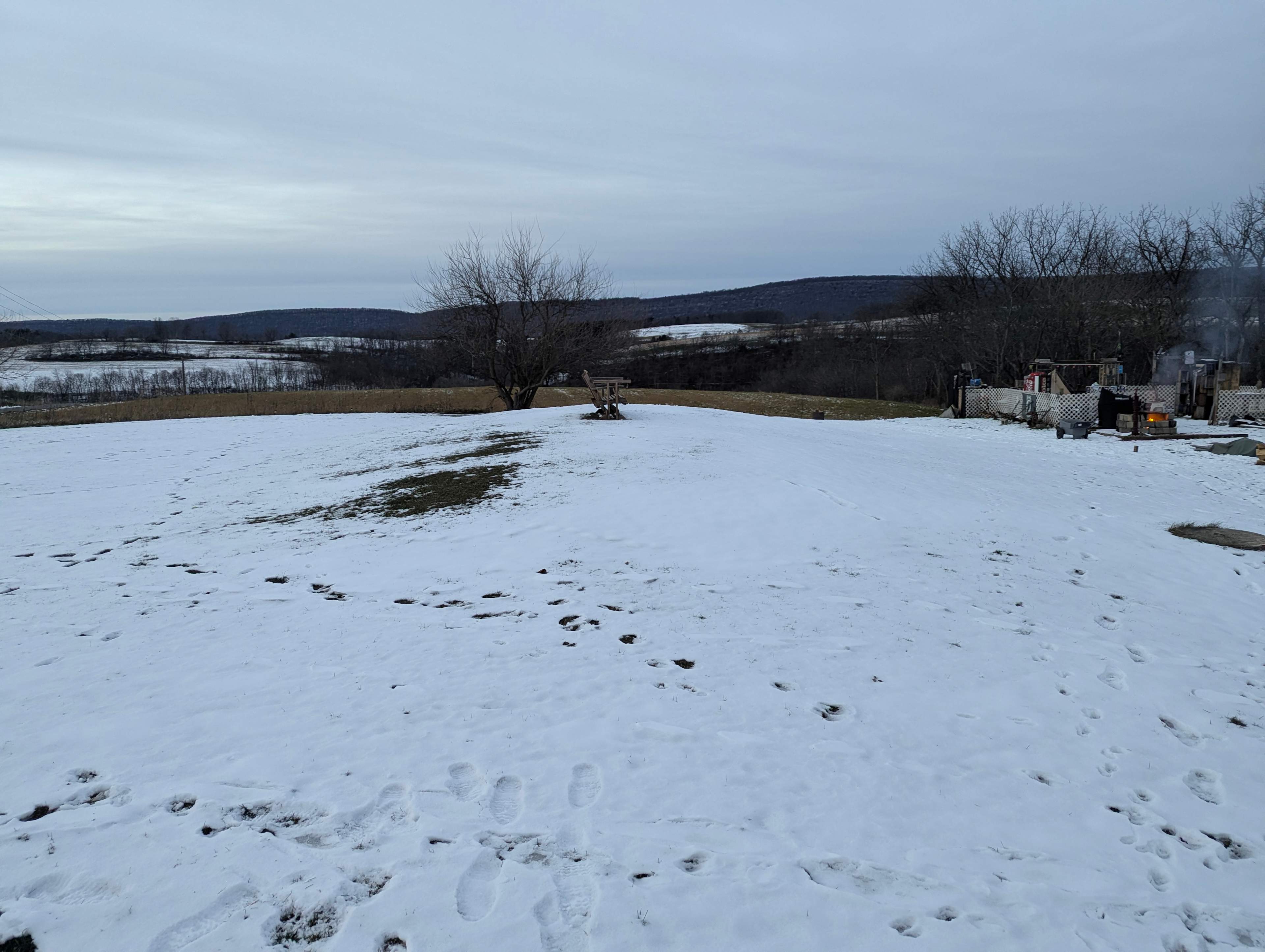 Picture of the site