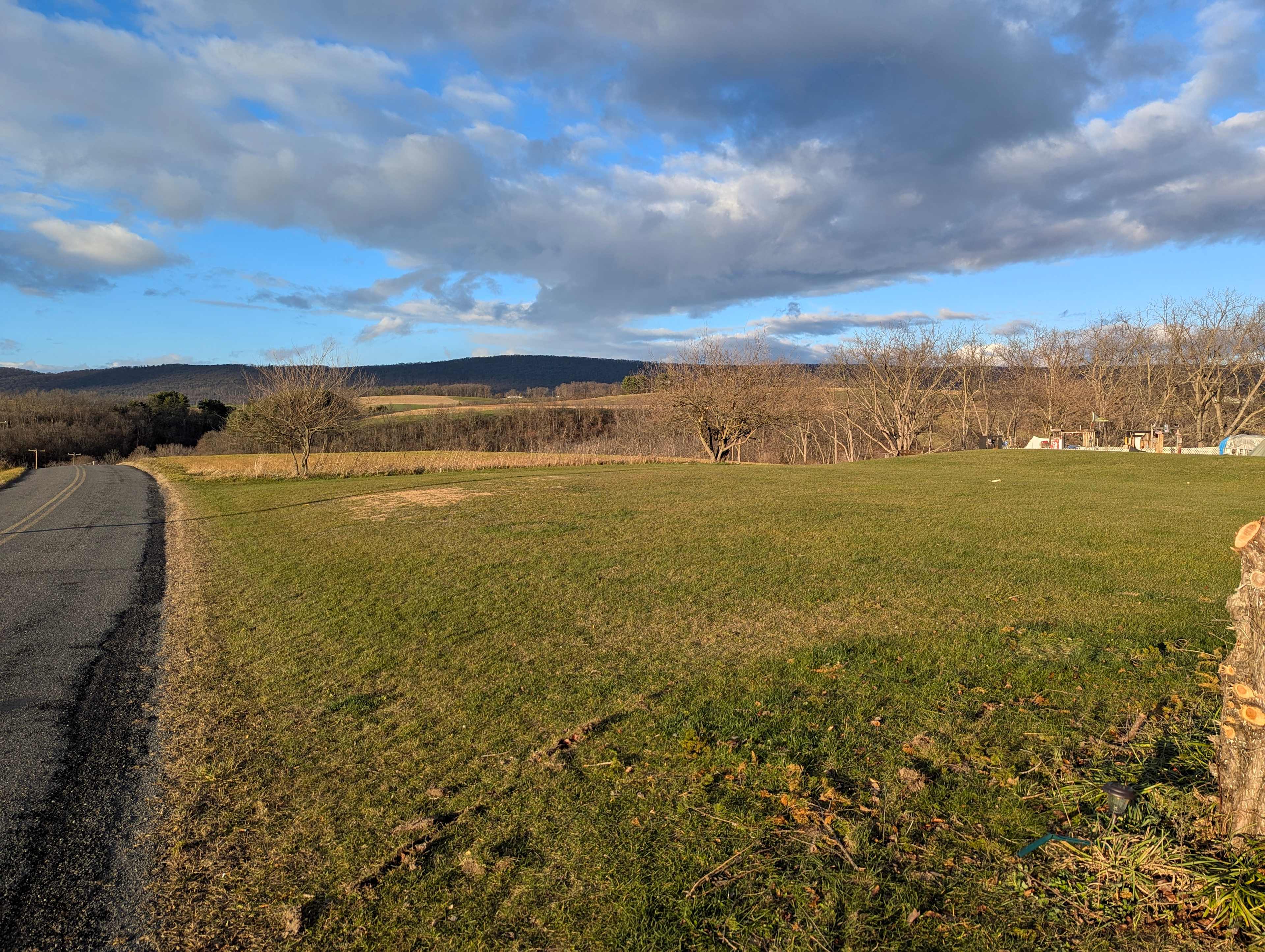Picture of the site