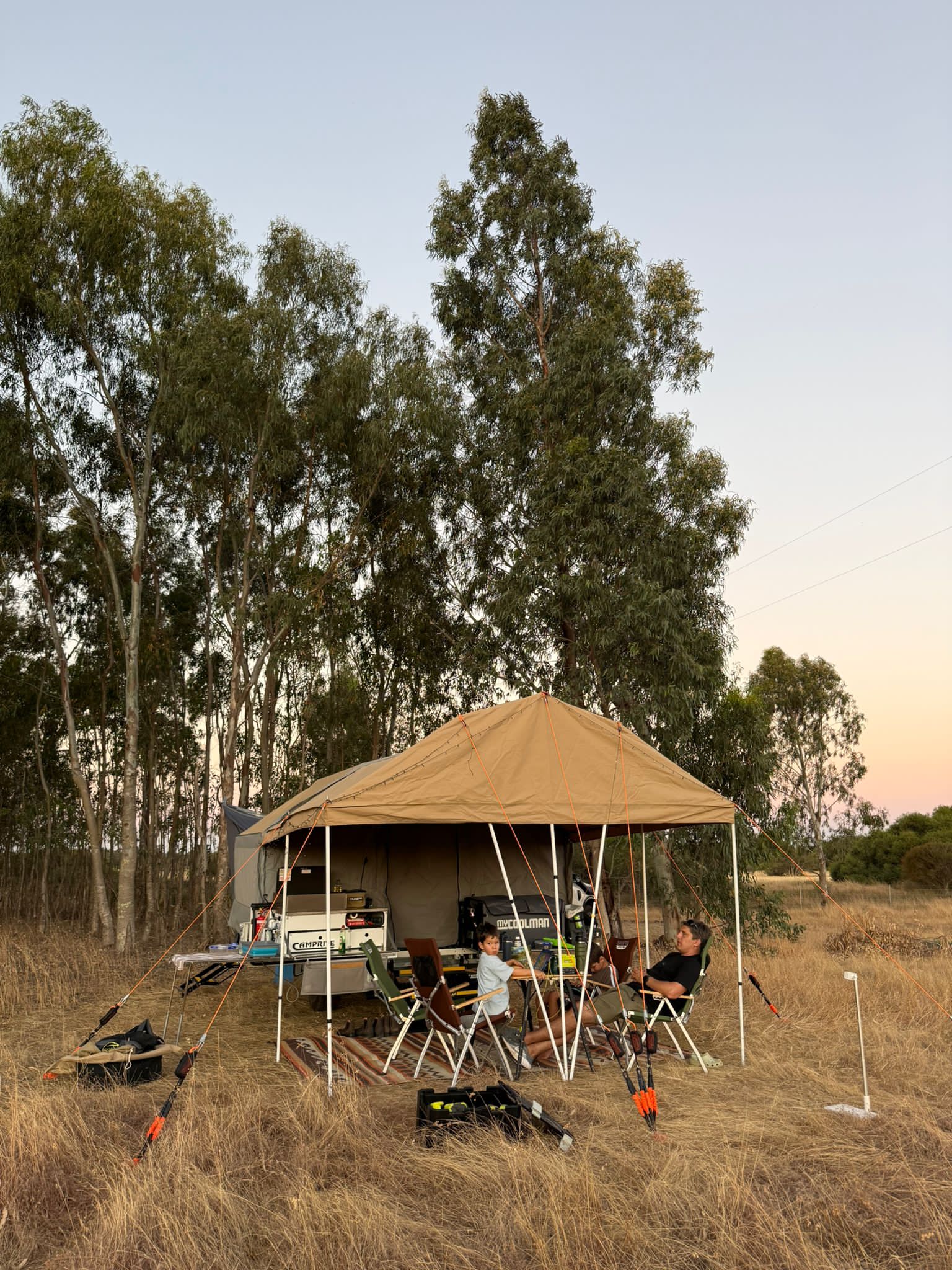 Picture of the site