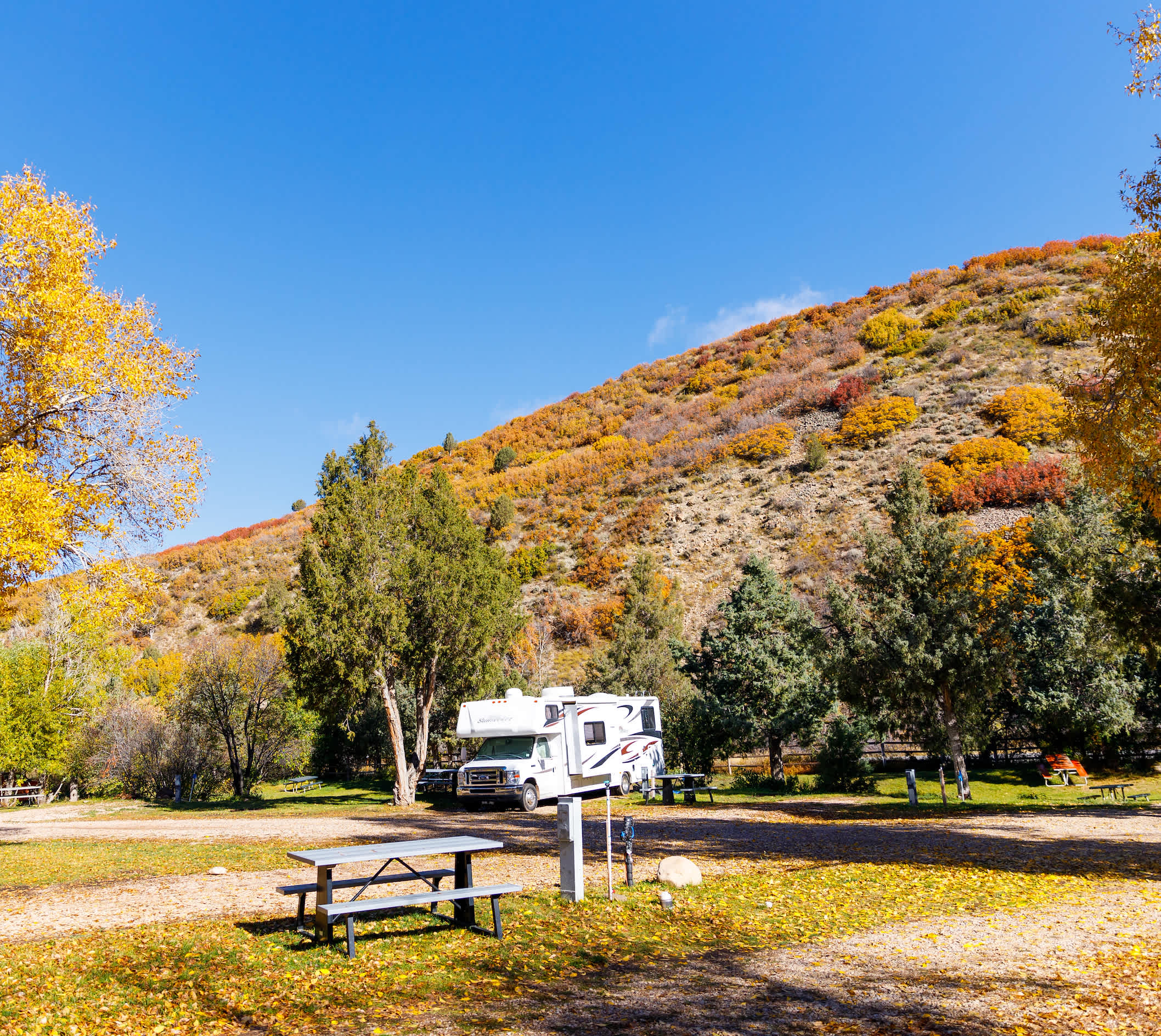 Picture of the site