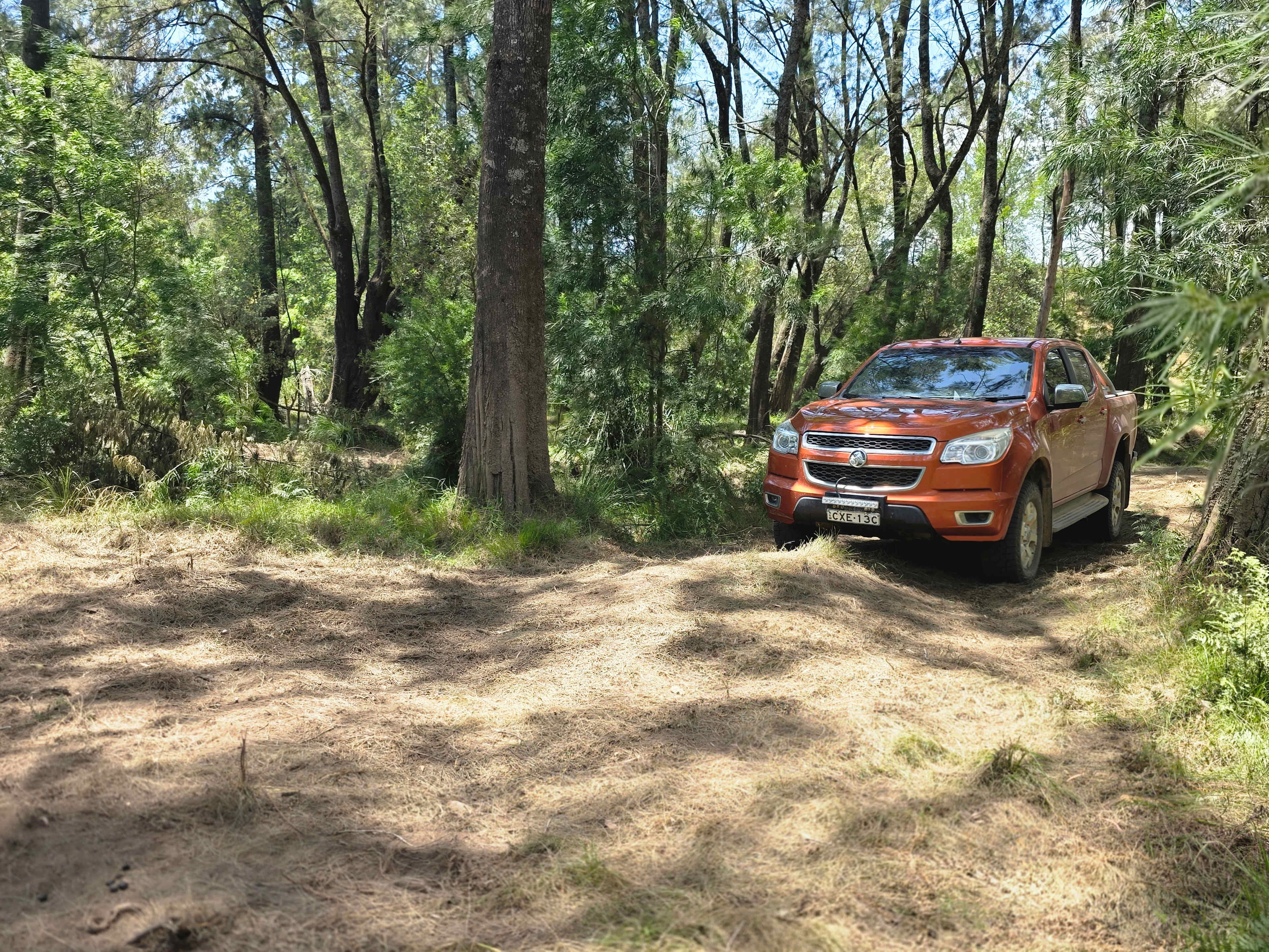 Picture of the site