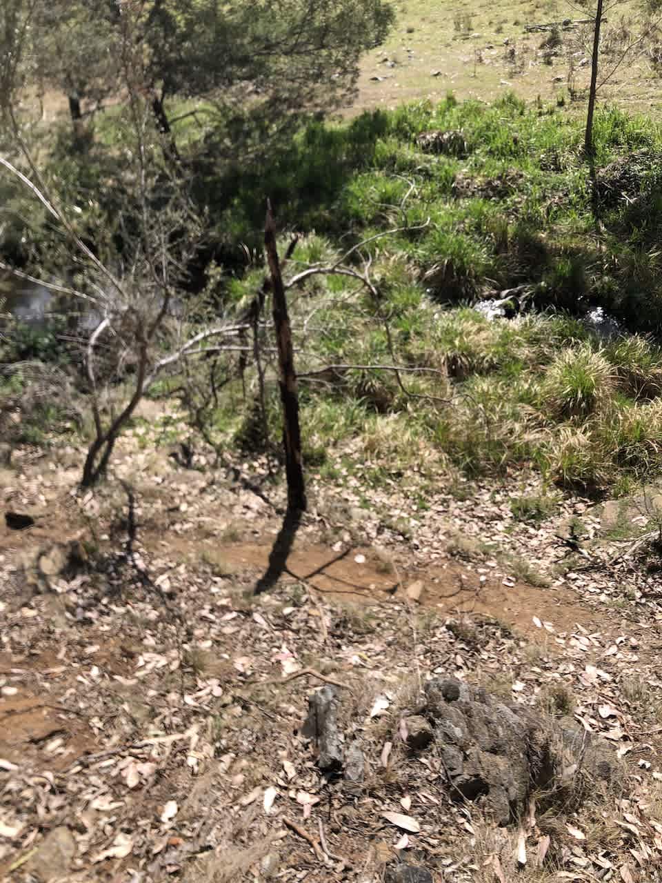 Picture of the site