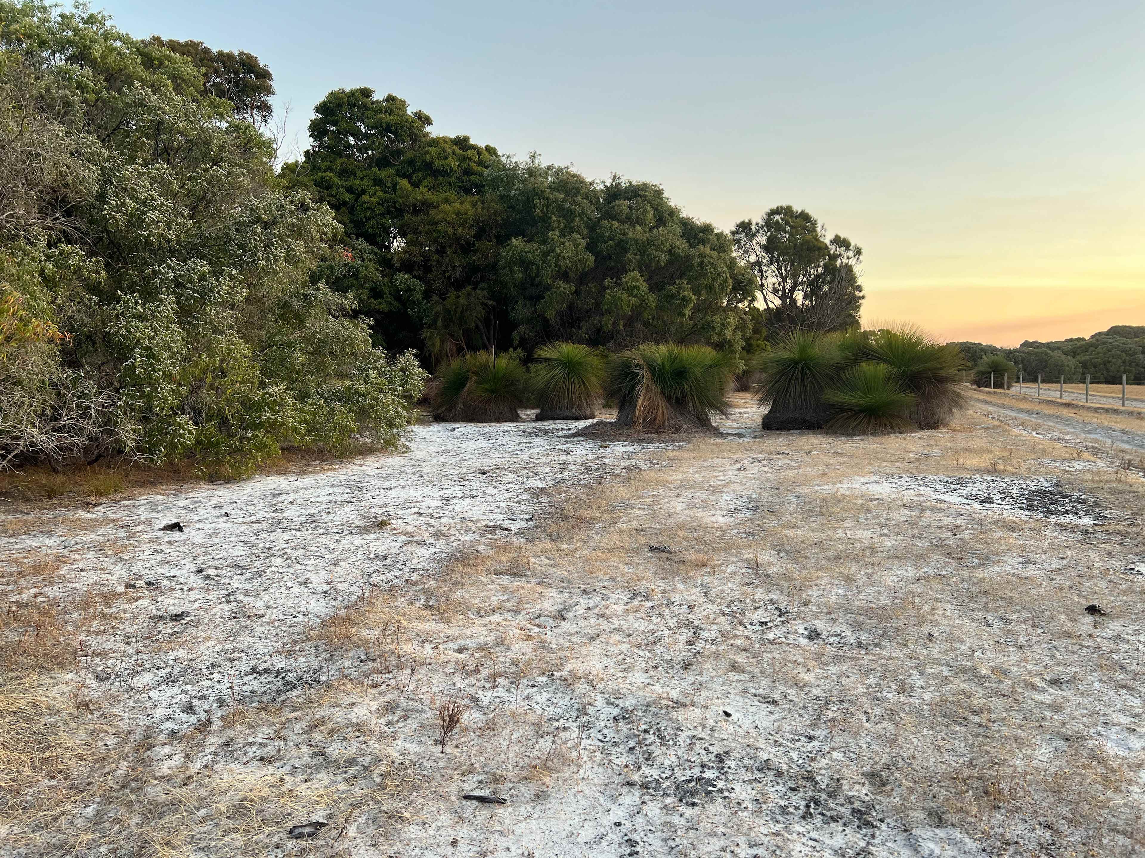 Picture of the site