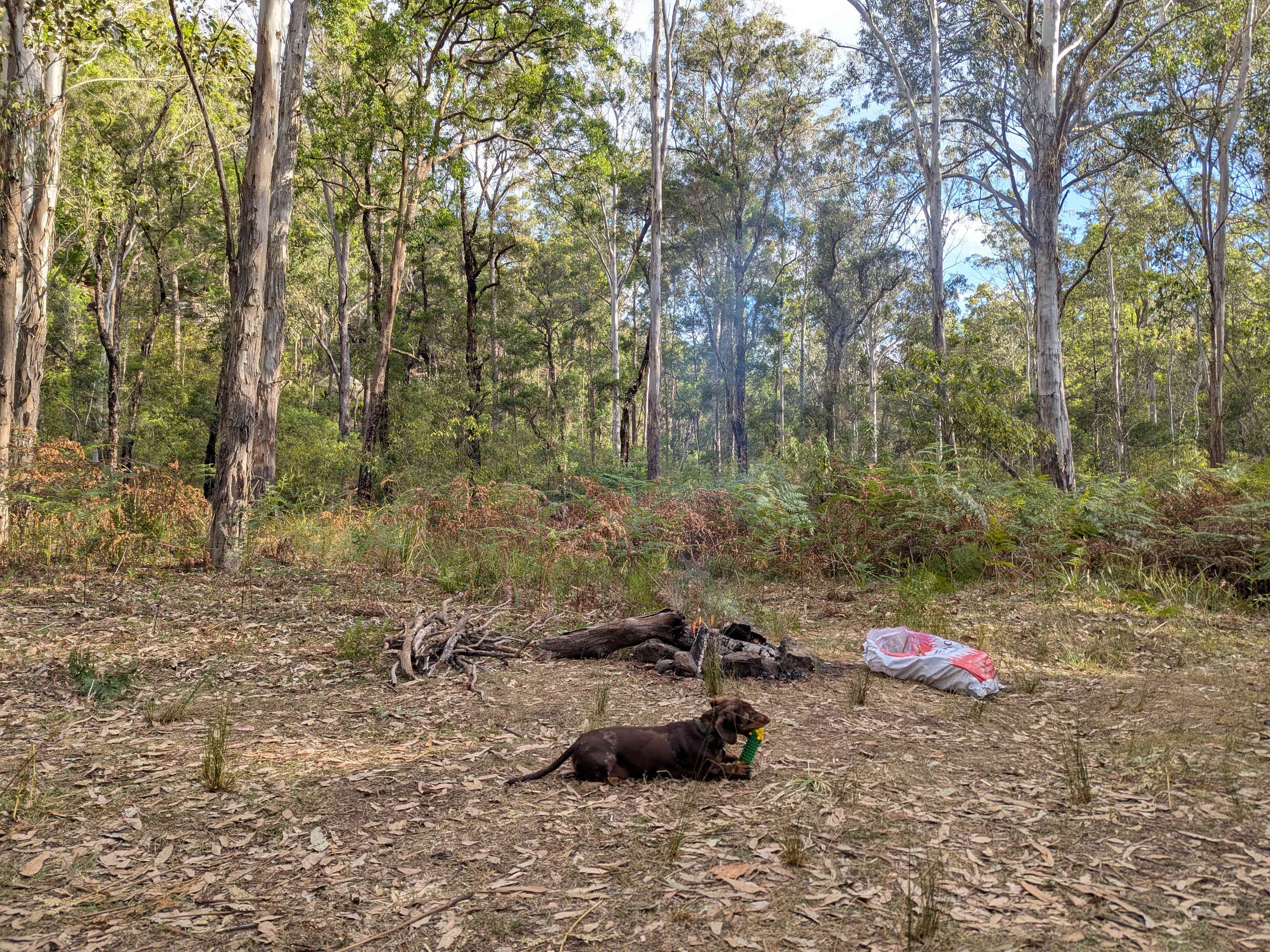Picture of the site