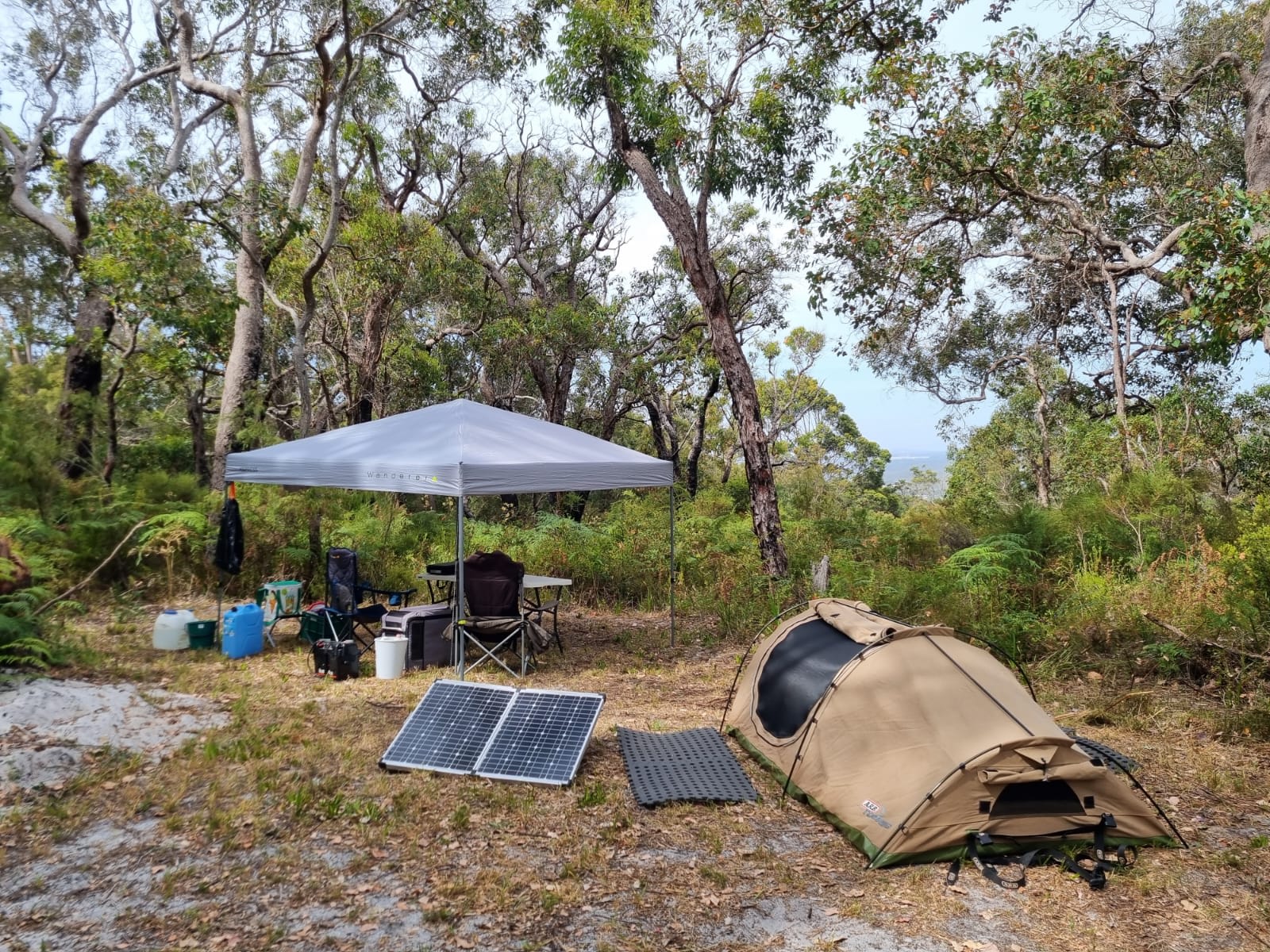 Picture of the site