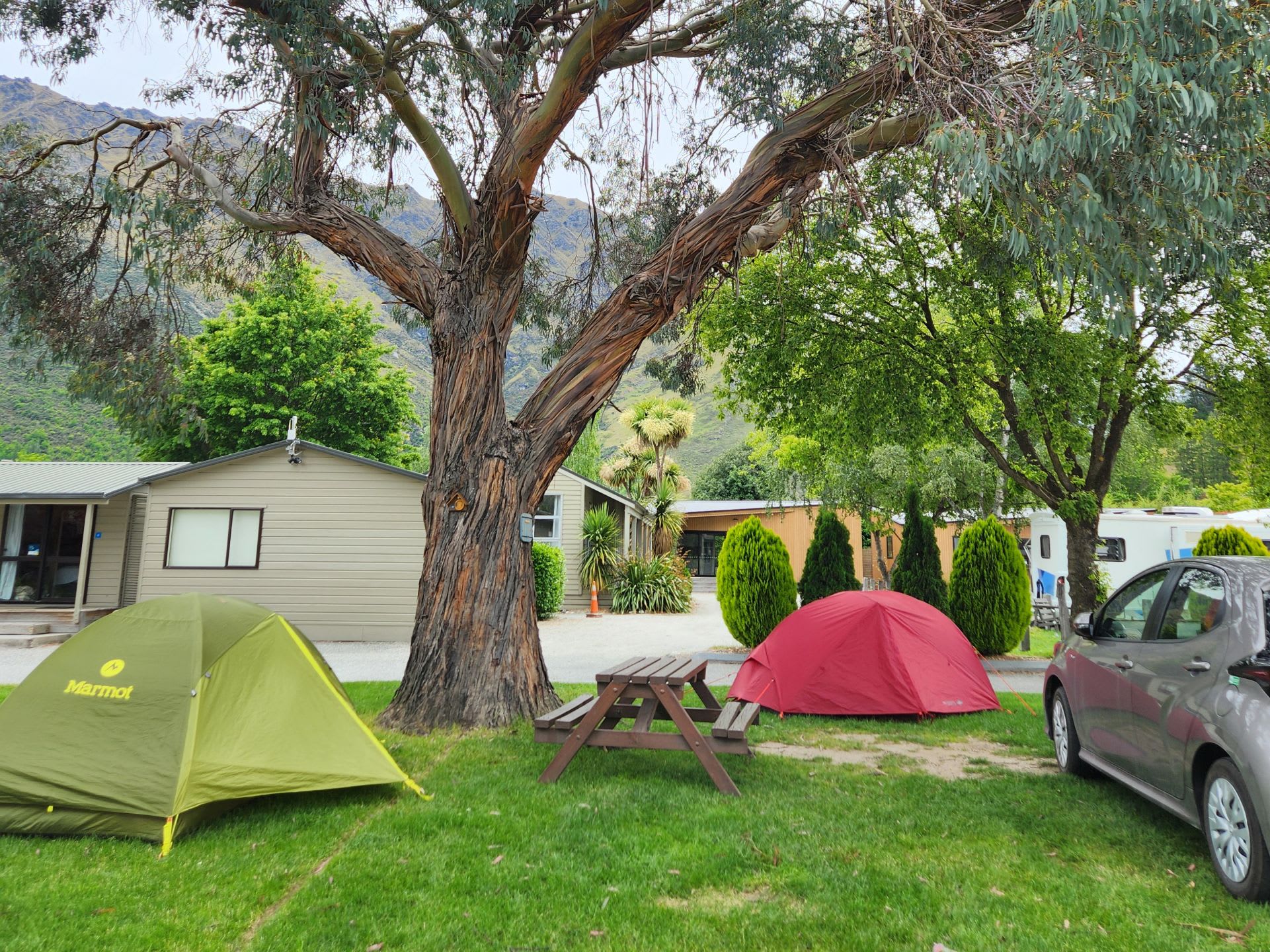Picture of the site