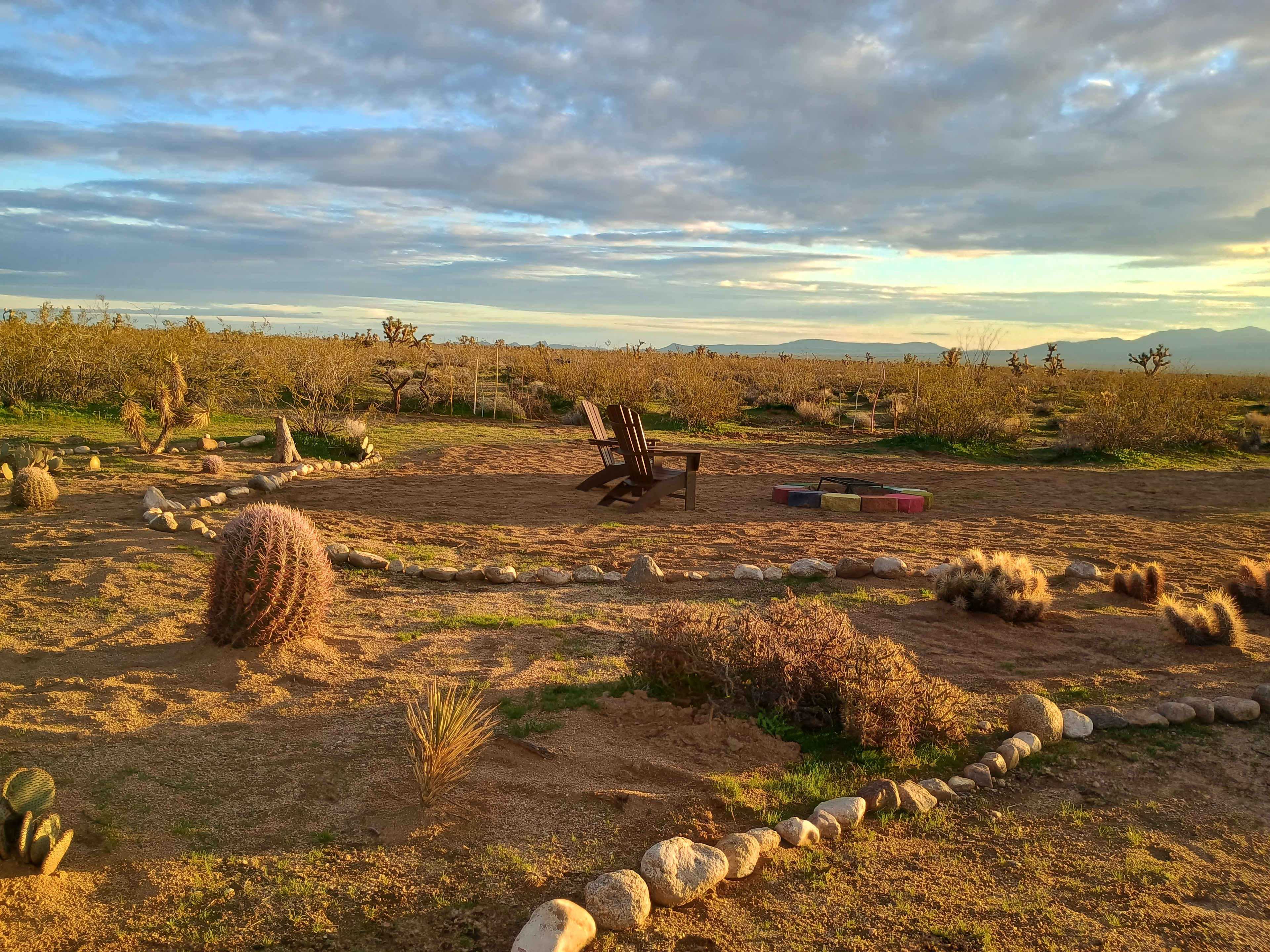 Picture of the site