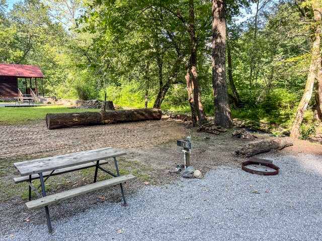 Picture of the site
