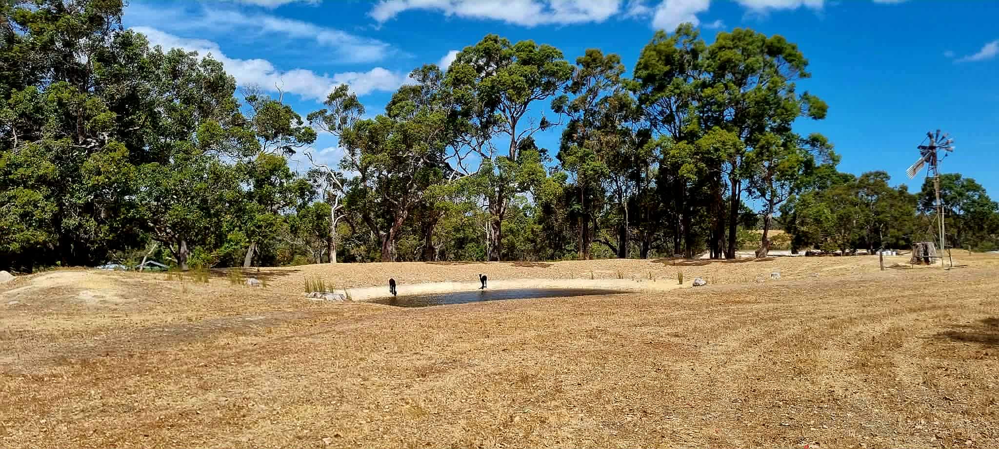 Picture of the site