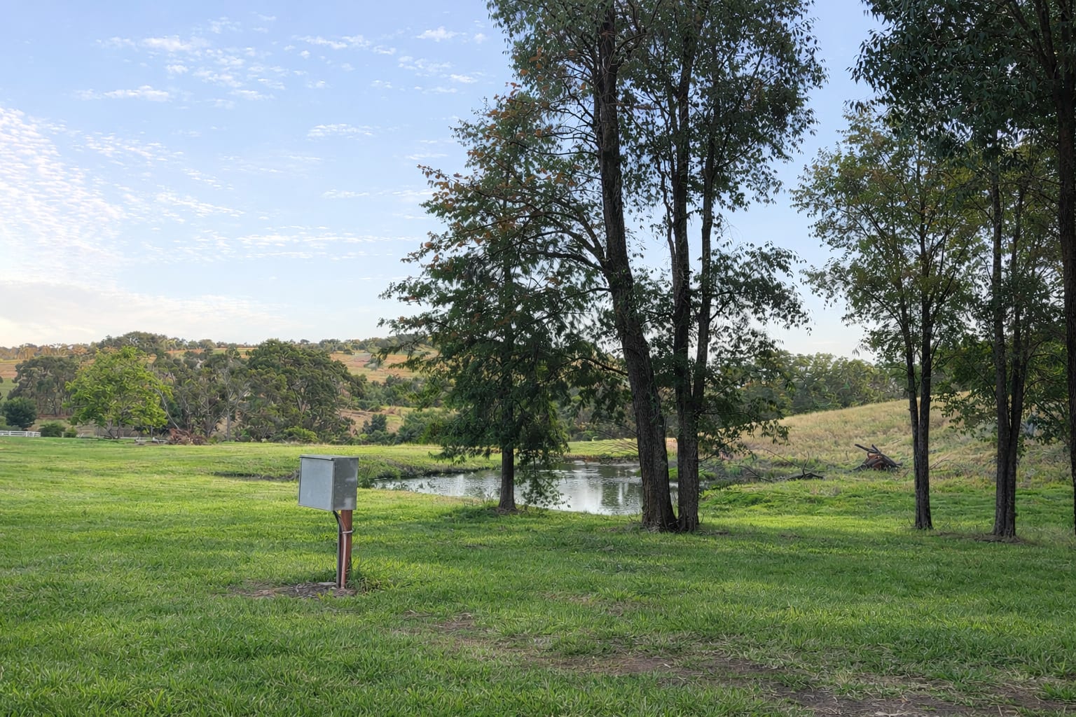 Picture of the site
