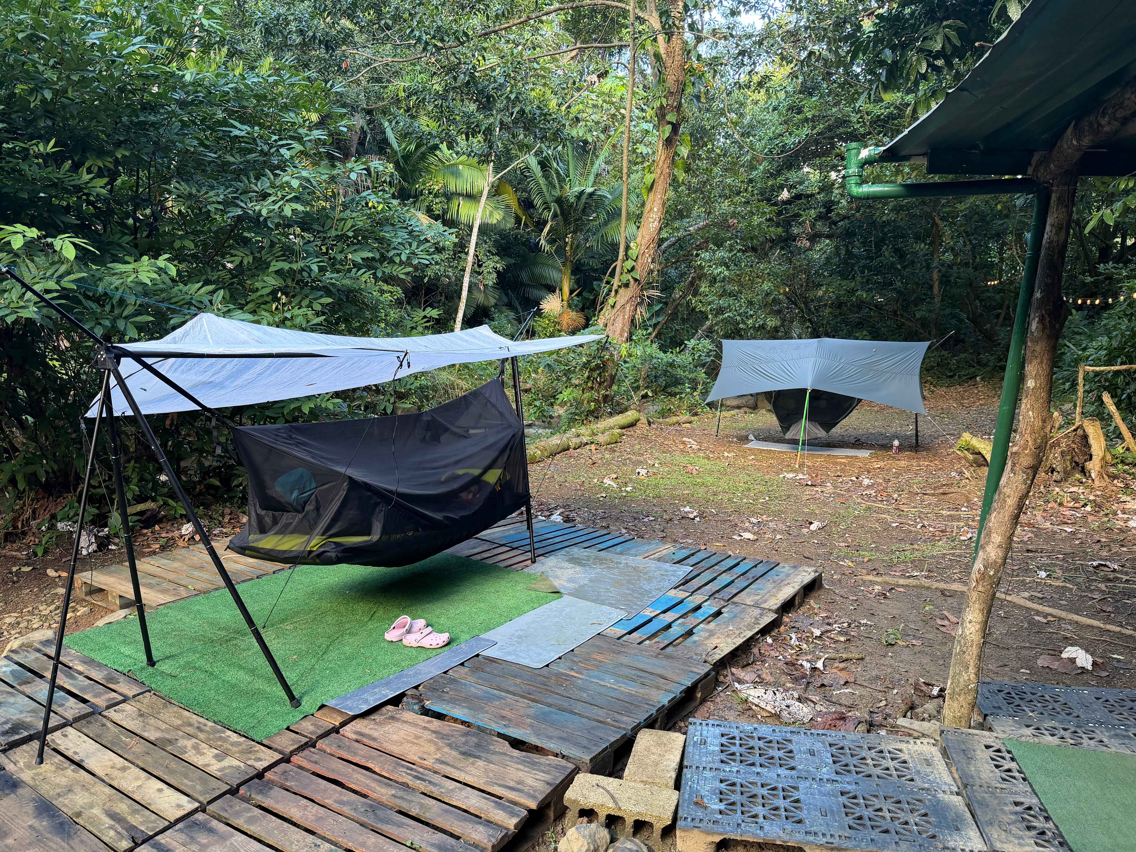Picture of the site