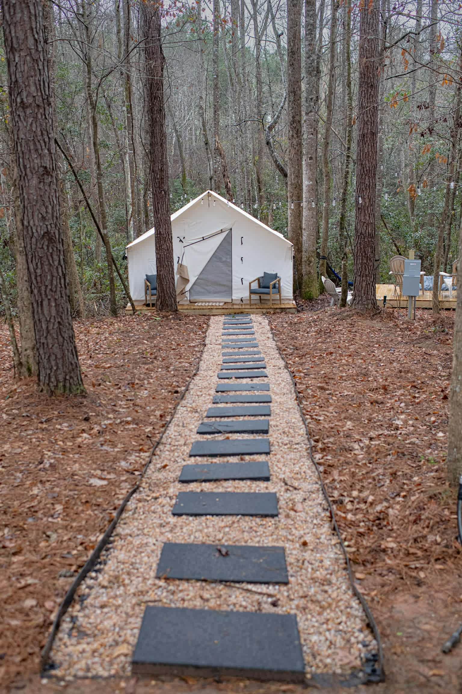 Picture of the site